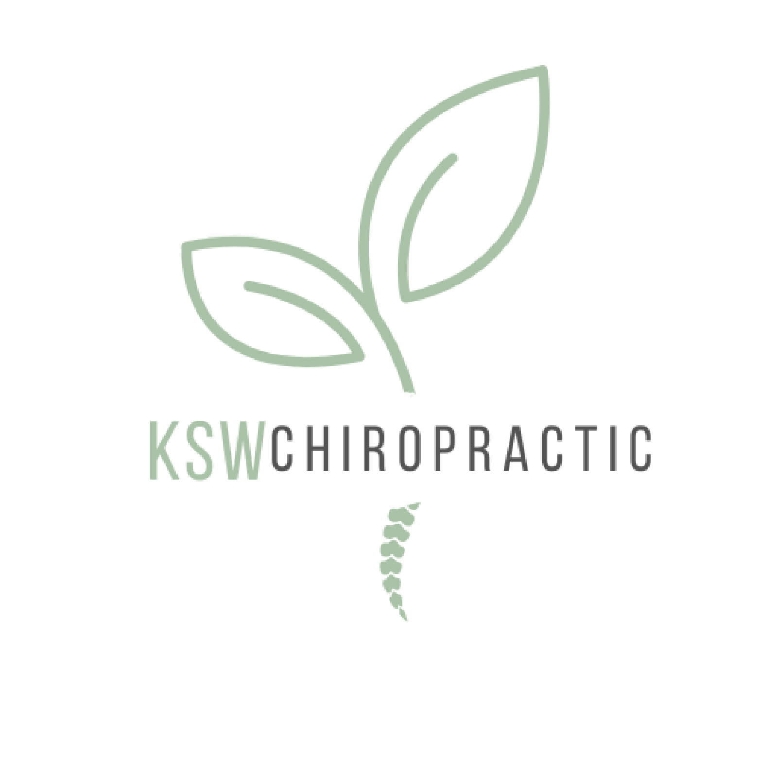 KSW Chiropractic default Deer Park Chamber of Commerce TX