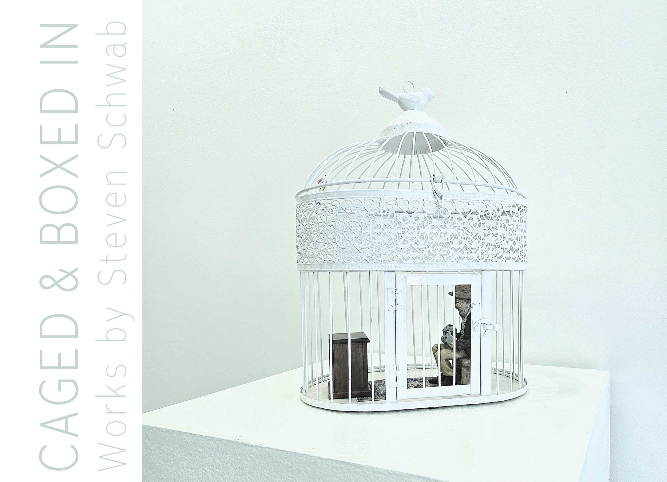 Caged & Boxed In // Works by Steven Schwab
