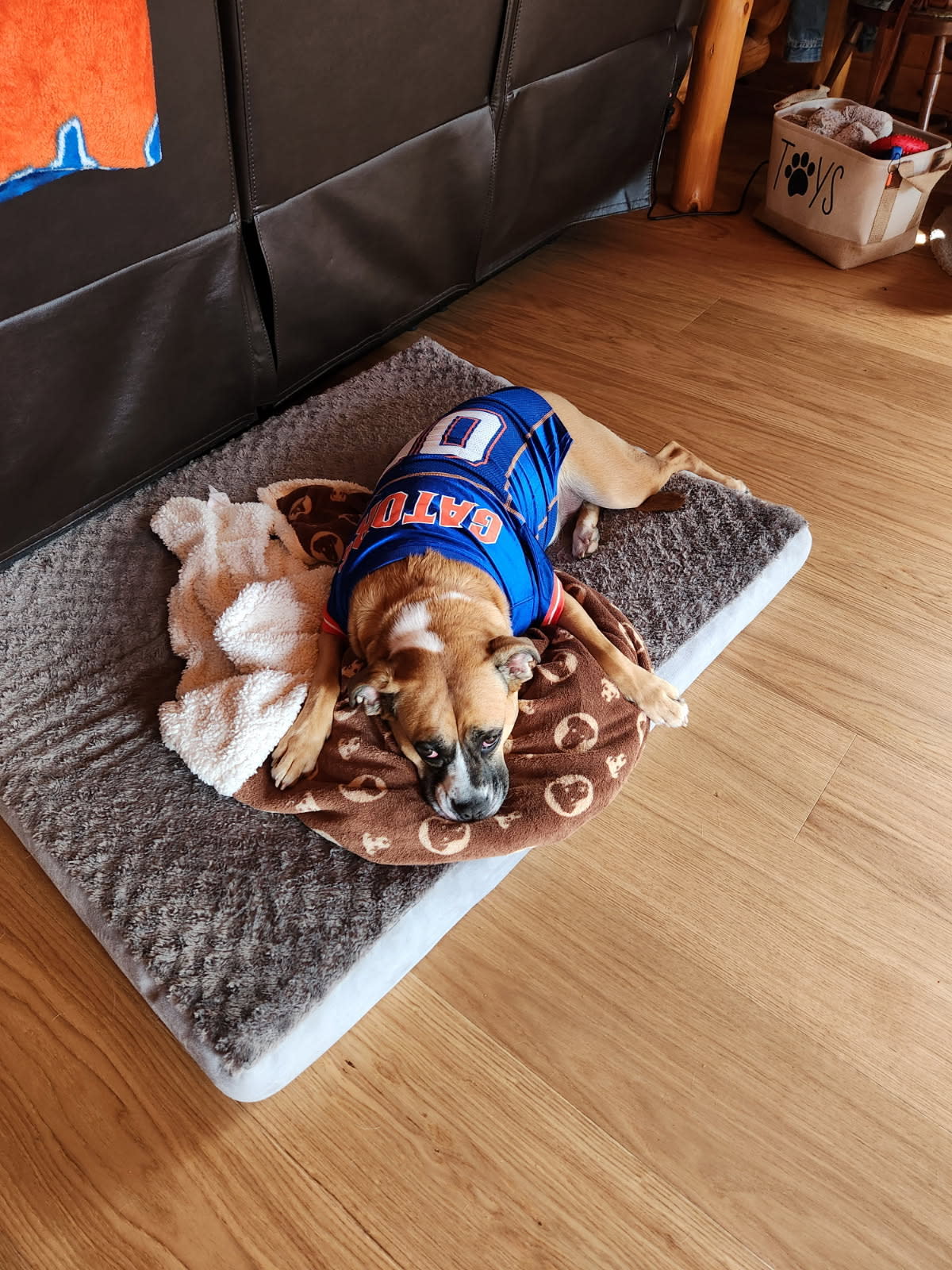 Bjelin Woodura waterproof flooring