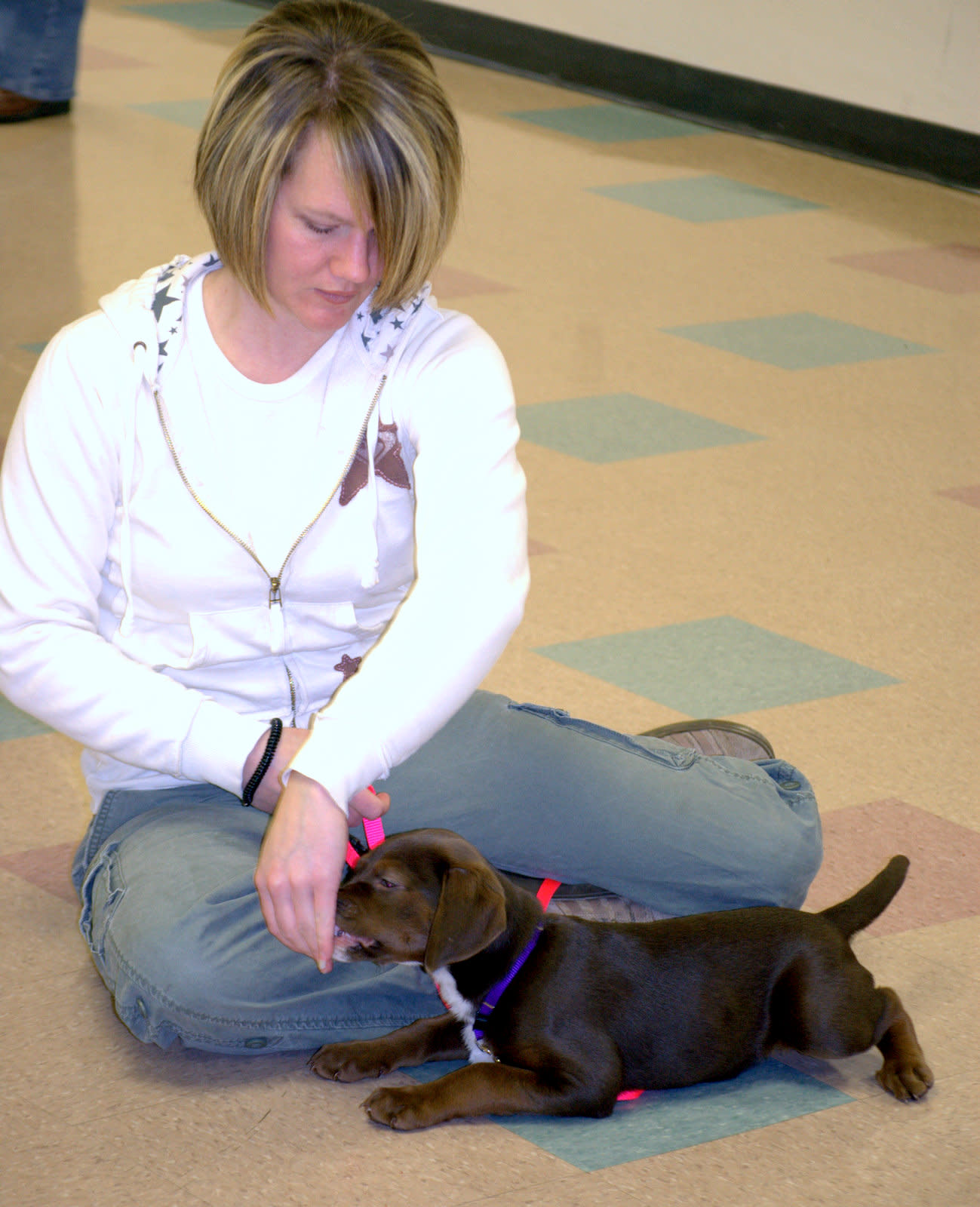 Puppy Training Chardon Ohio