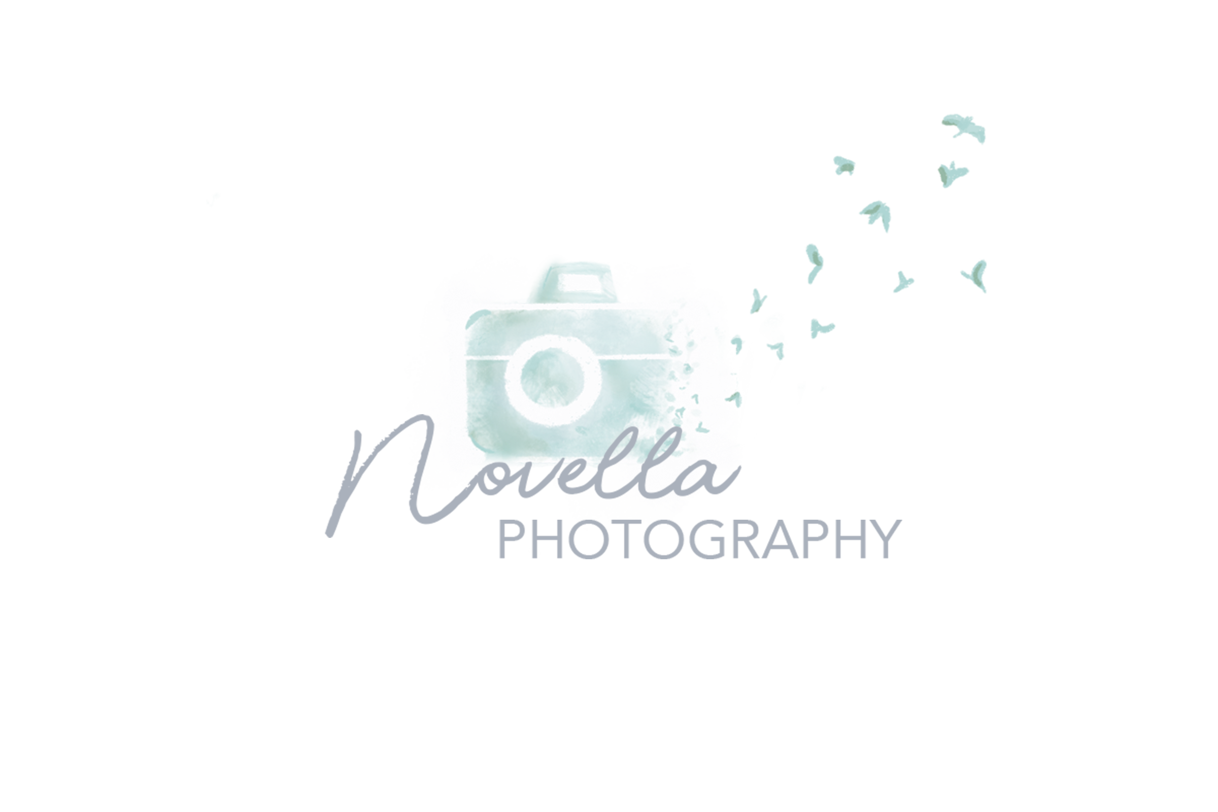 novella photography sea form green camera with birds flying from the logo. https://novella-photography.com