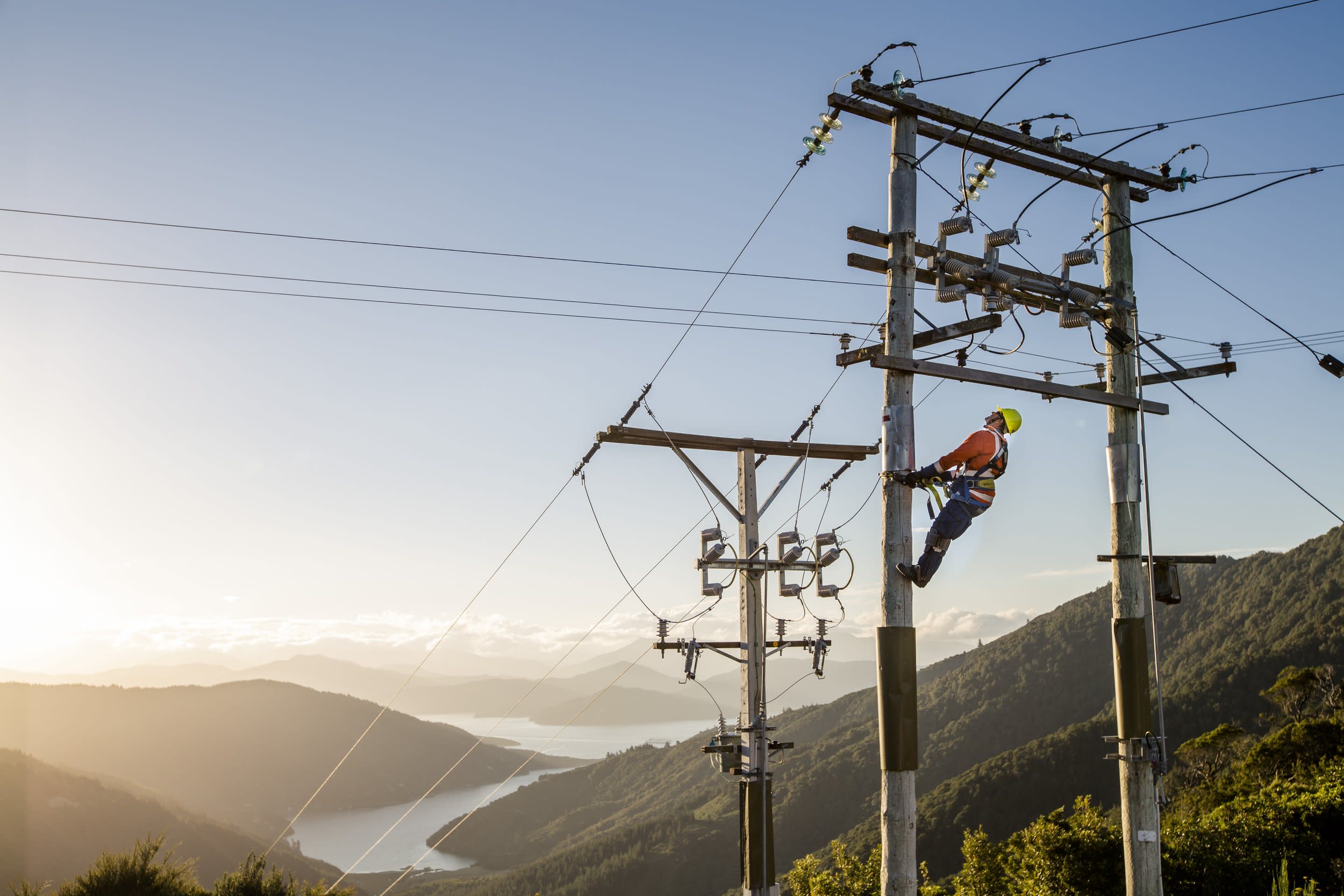 Marlborough Lines Linesman