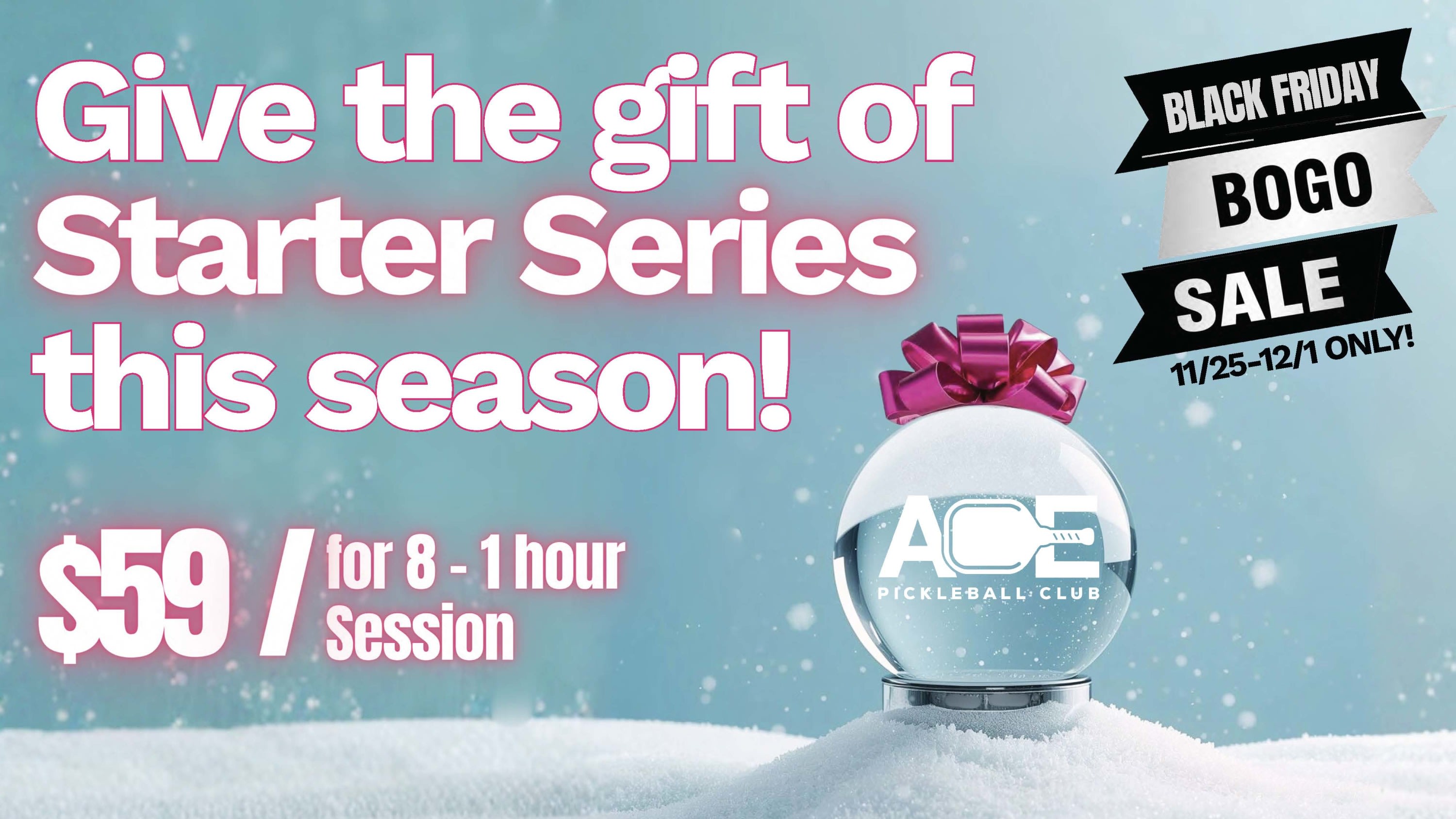 Pickleball Starter Series - $59 for 8 - 1 hour sessions