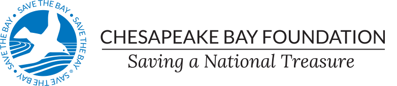 chesapeake bay foundation