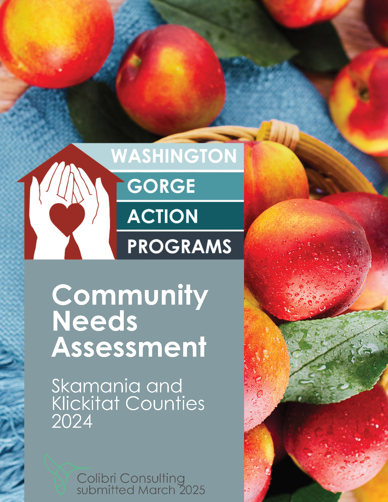 Community Needs Assessmet for Skamania and Klickitat counties 2024
