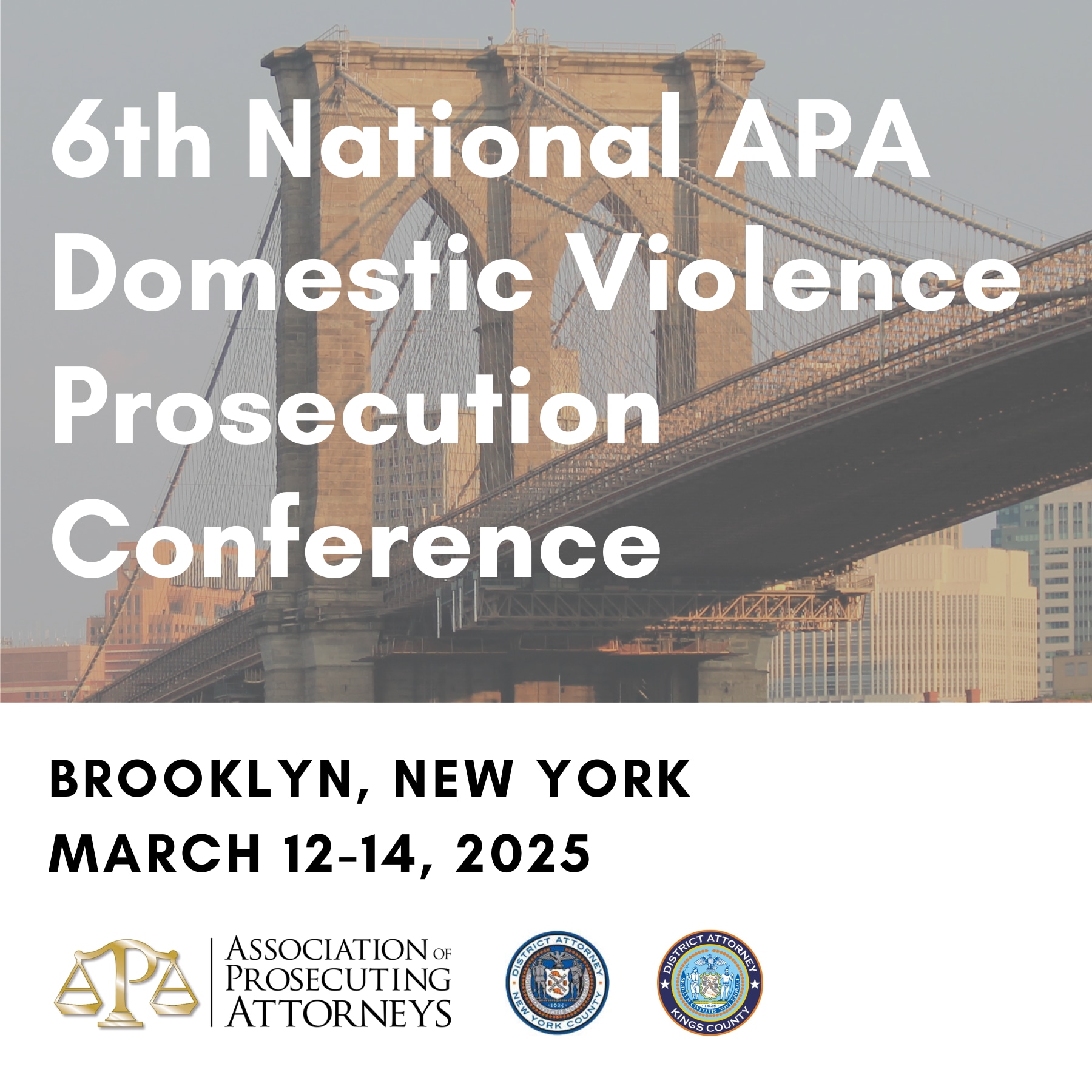 6th National APA Domestic Violence Prosecution Conference