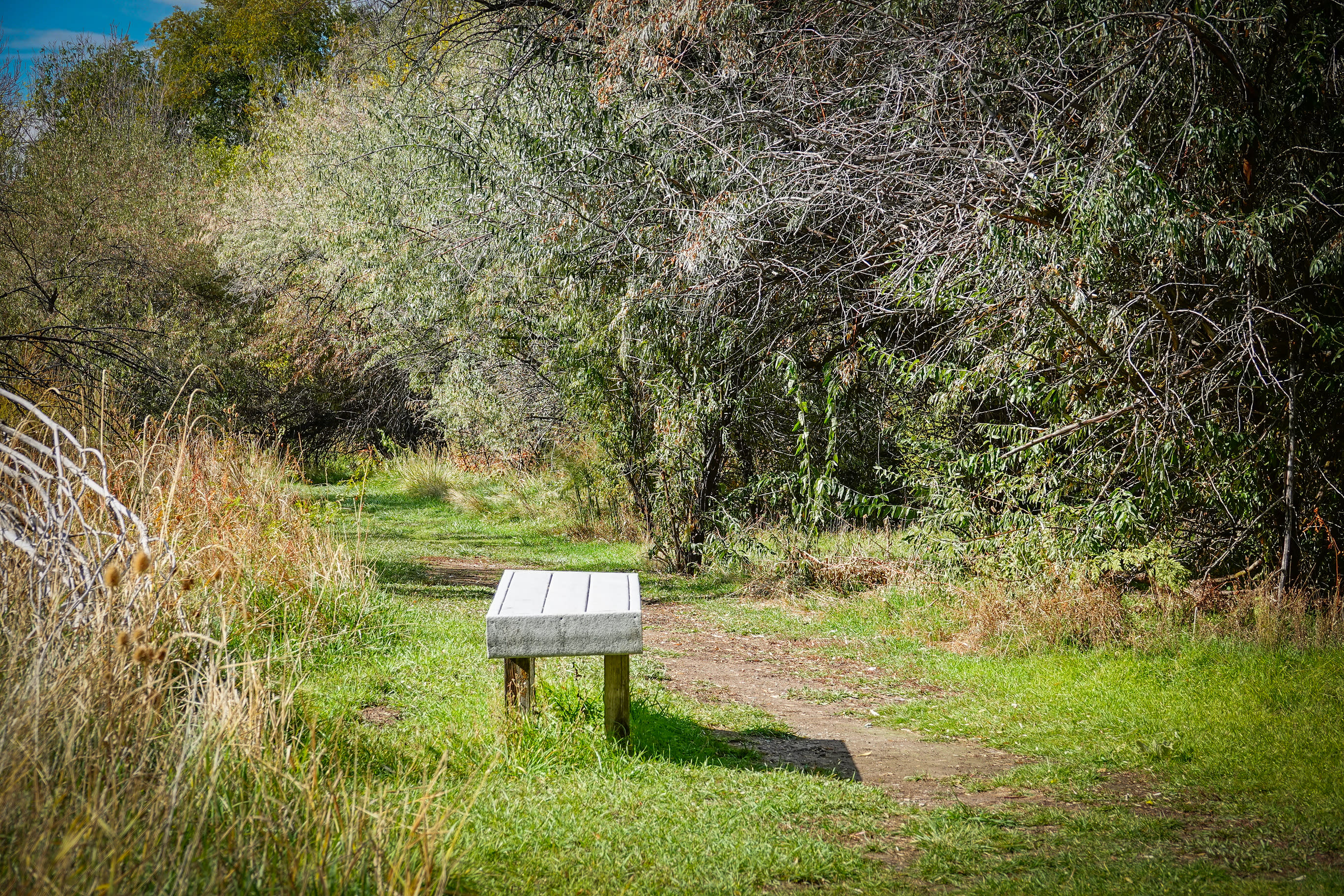 Ogden Nature Center Bench on Trail