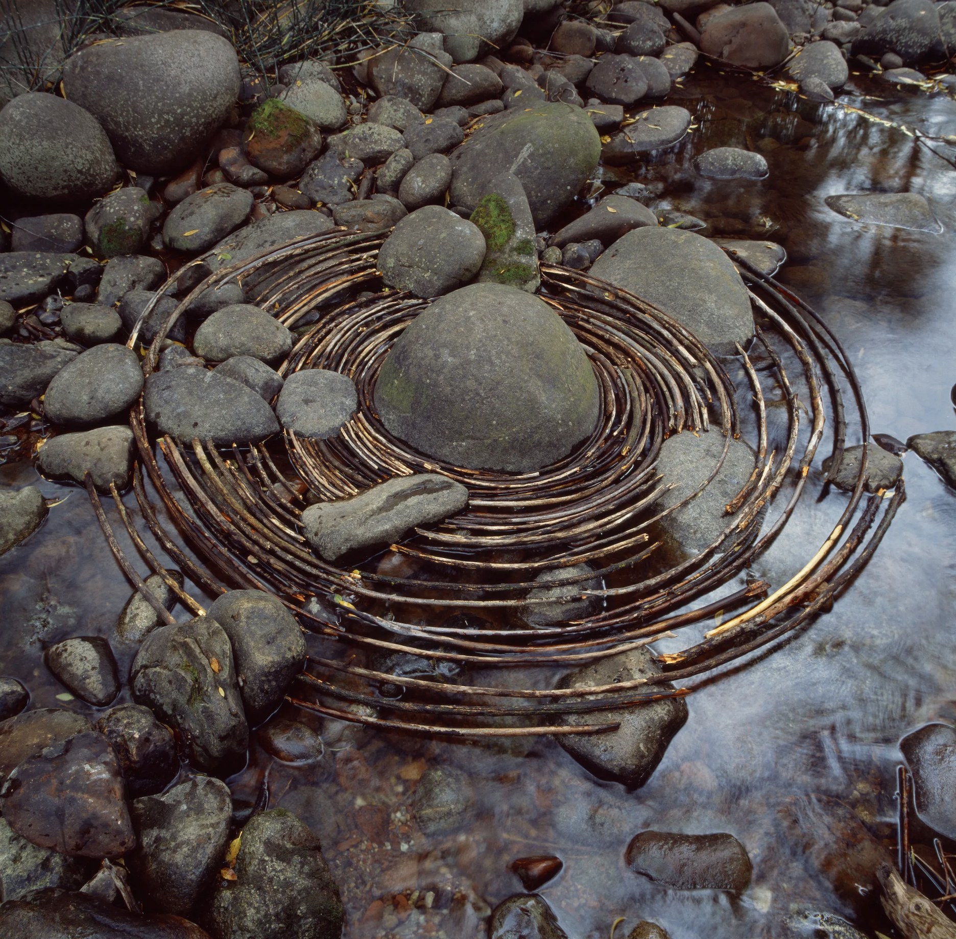 Andy Goldsworthy photo 1