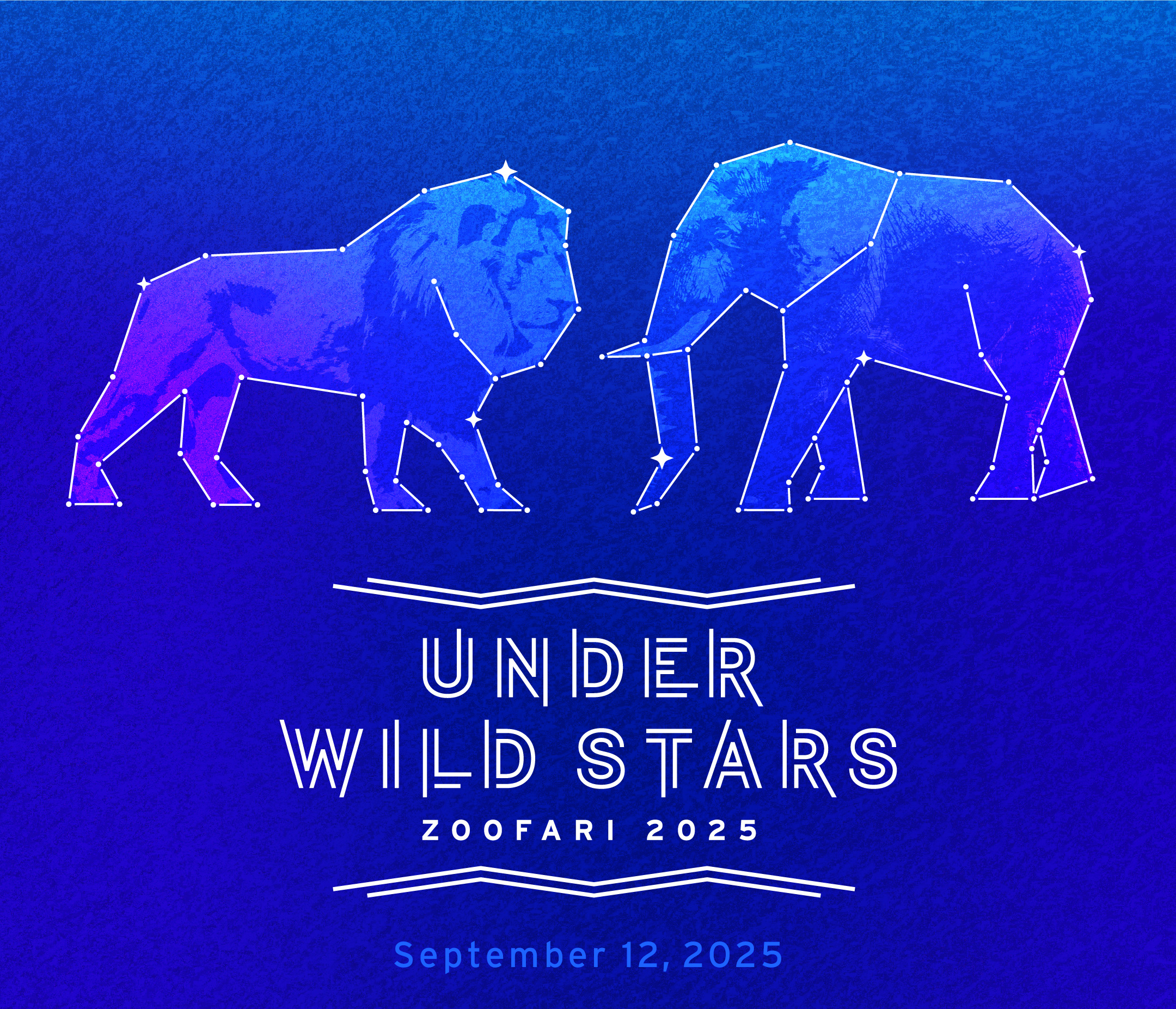 Under Wild Stars Zoofari 2025