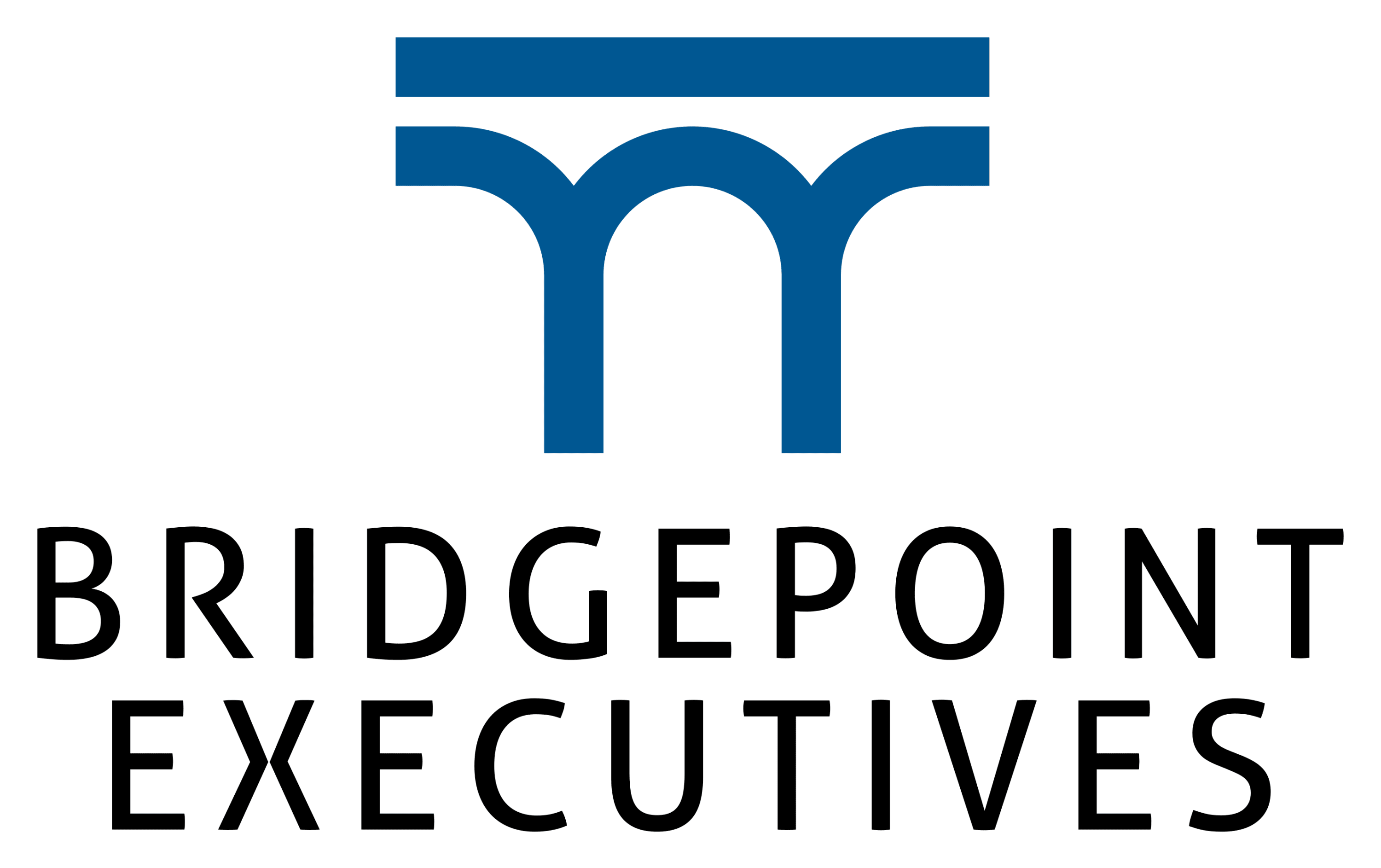 Bridgepoint Executives - Bridging strategy, digital, analytics, and marketing to the executive table.