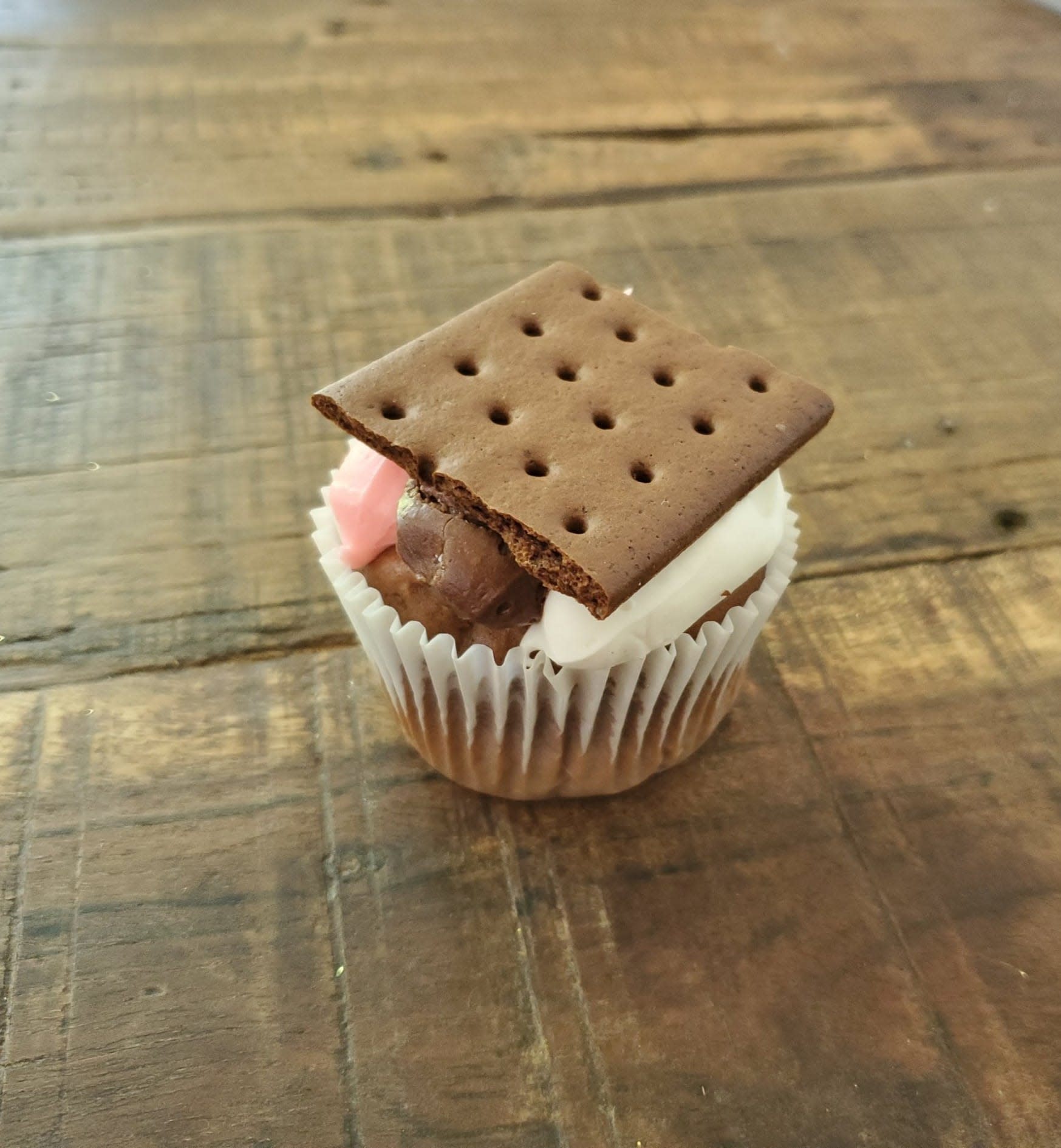 Neopolitan Ice Cream Sandwich