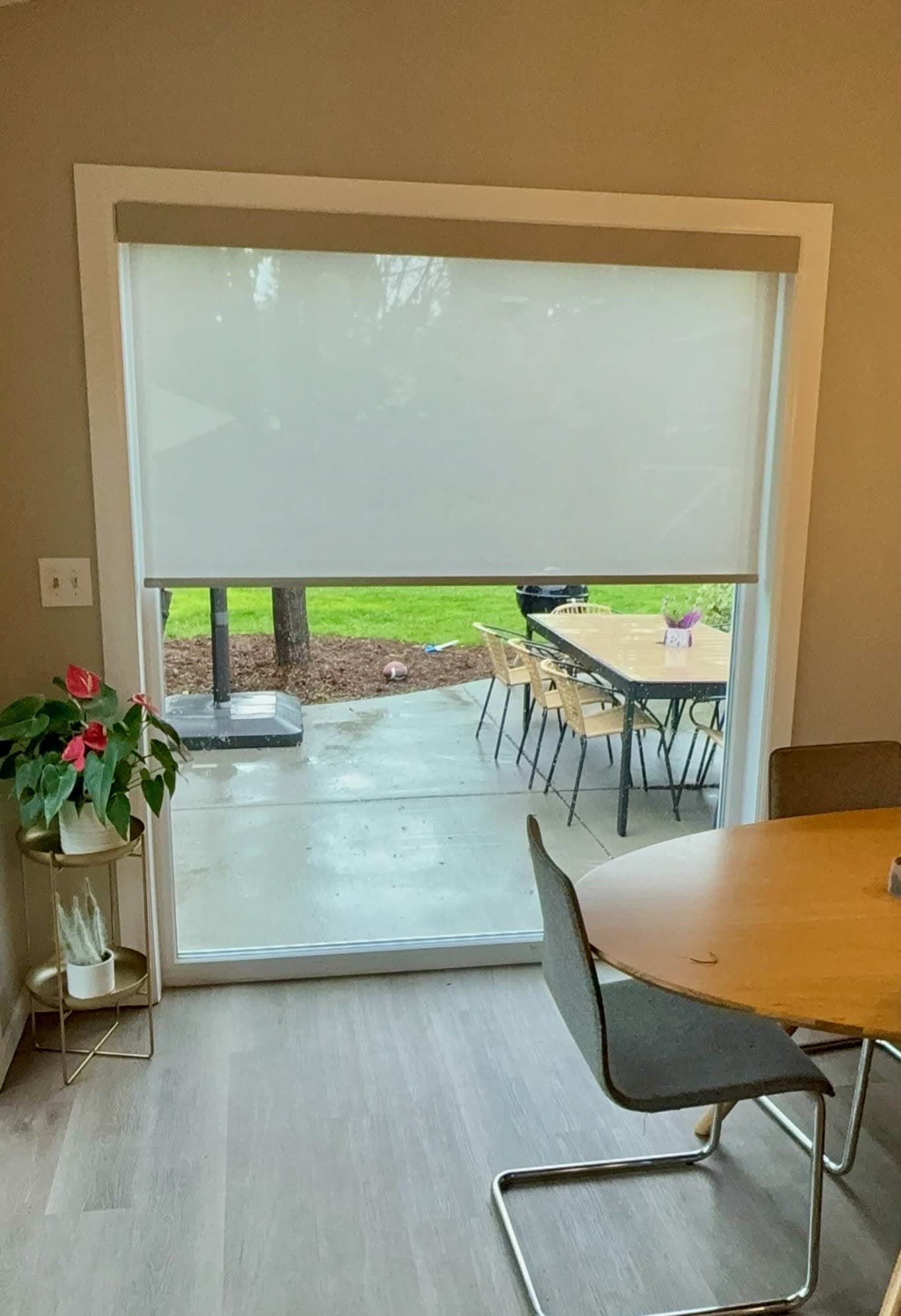 Bumble Bee Blinds Louisville CO - kitchen door shades