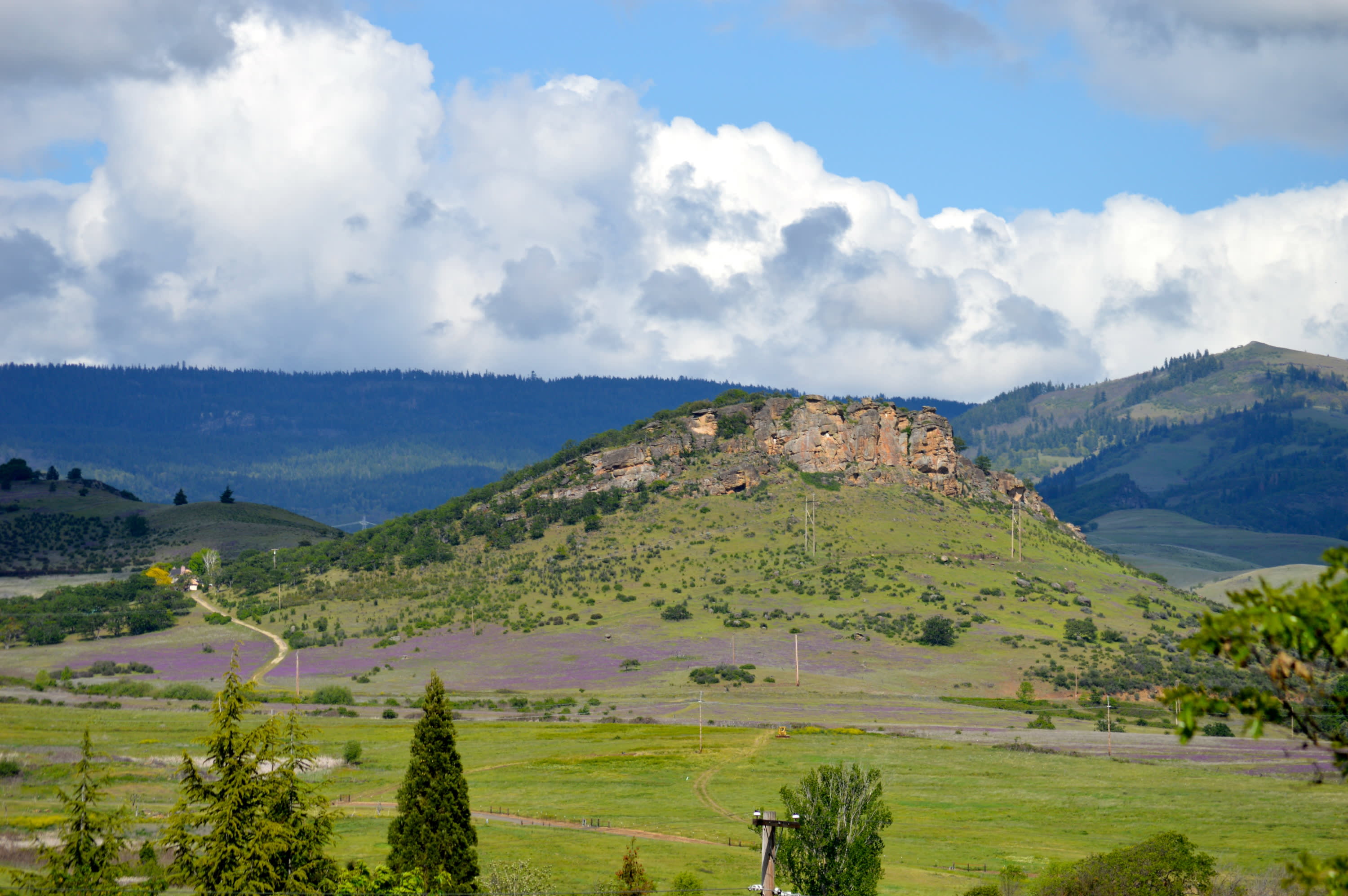 Pompadour Bluff in Spring - Photo by Donna Rhee
