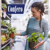 Confero Ag Supply Retail Shops