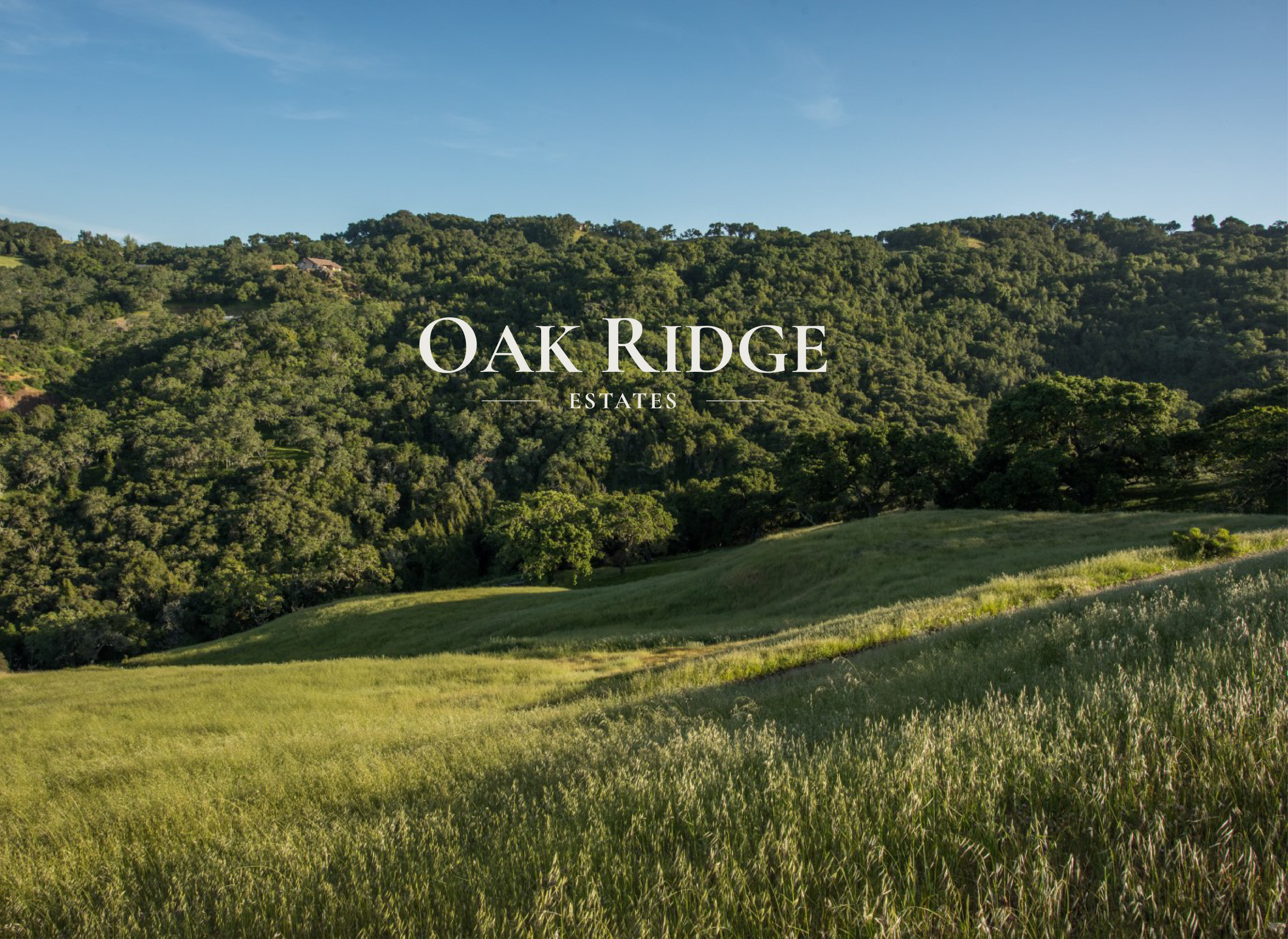 Oak Ridge Panoramic Views