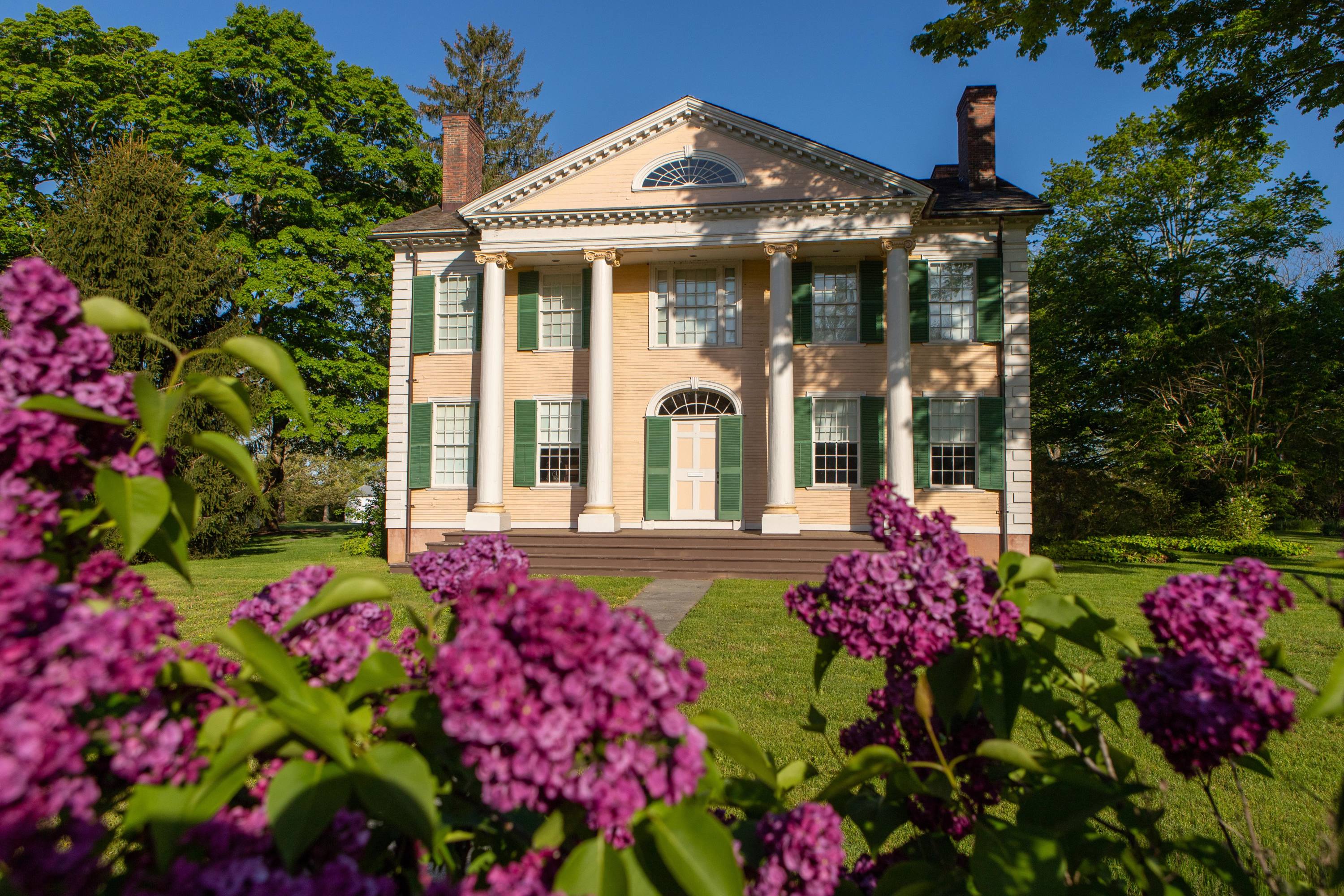 A yellow mansion with green shutters is framed by blue sky, green trees, and purple lilacs in bloom.