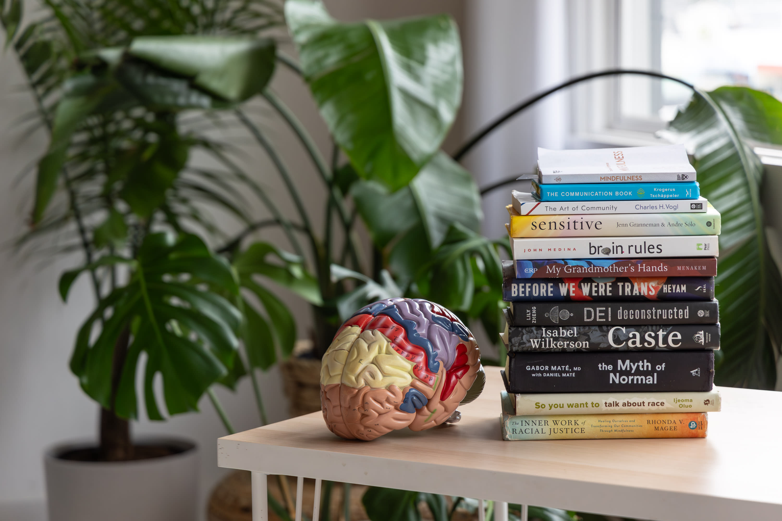 A stack of books next to a 3-D model of a human brain on a tan desk