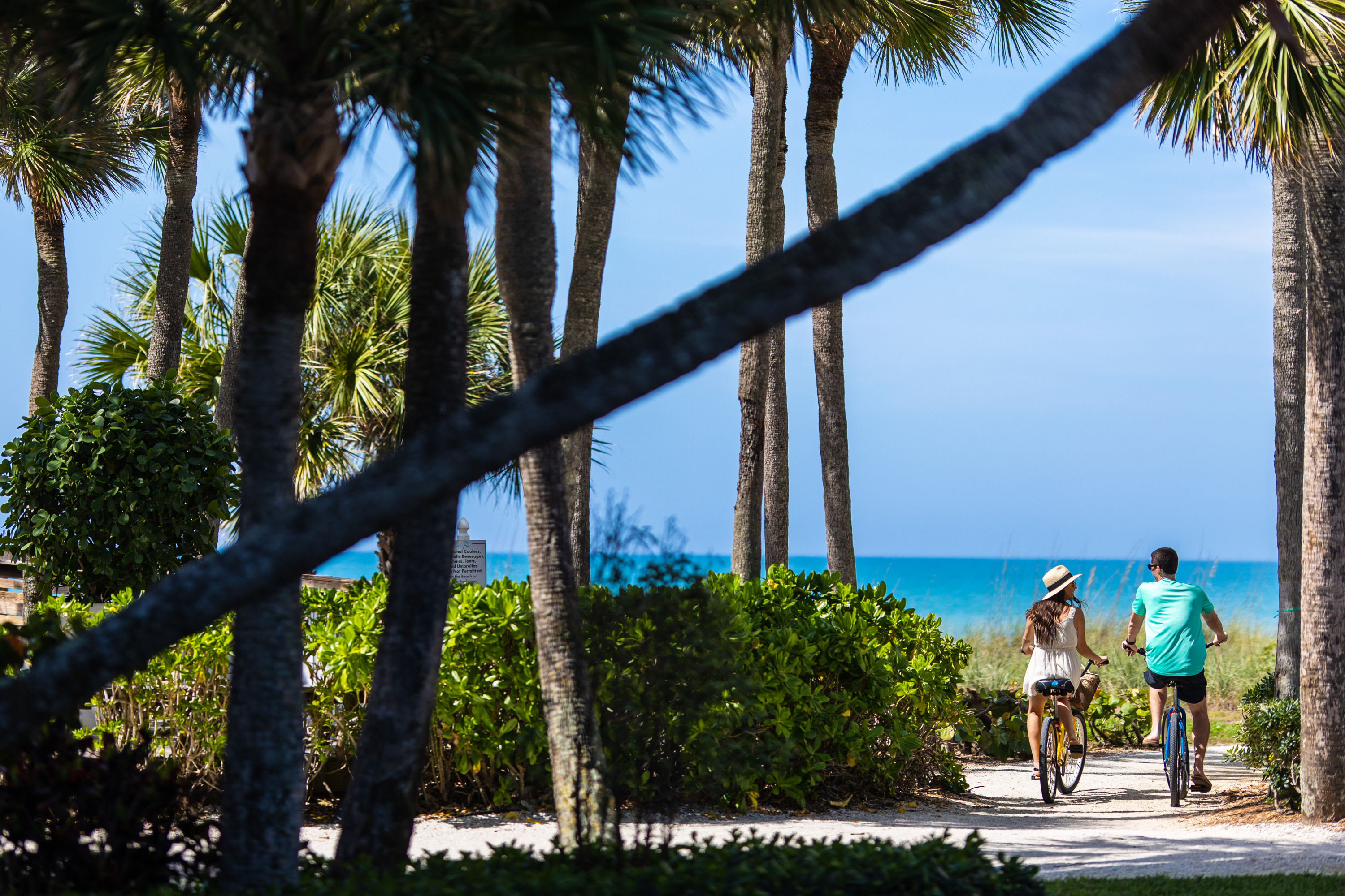 Woman and man riding bikes on a sand trail under palm trees next to the Gulf of Mexico