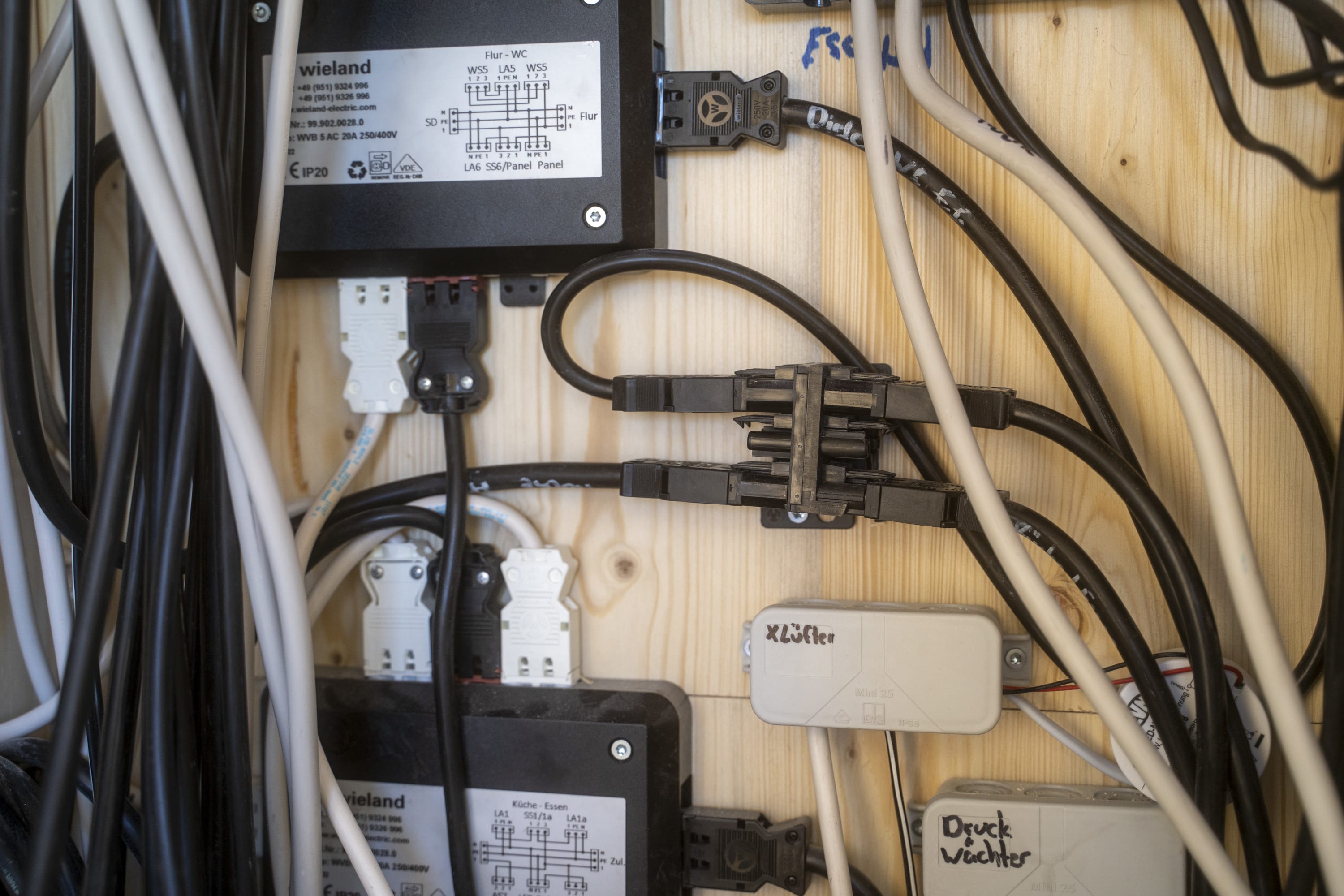 Electrical cables from Wieland Electric with colored insulation, coiled and laid side by side
