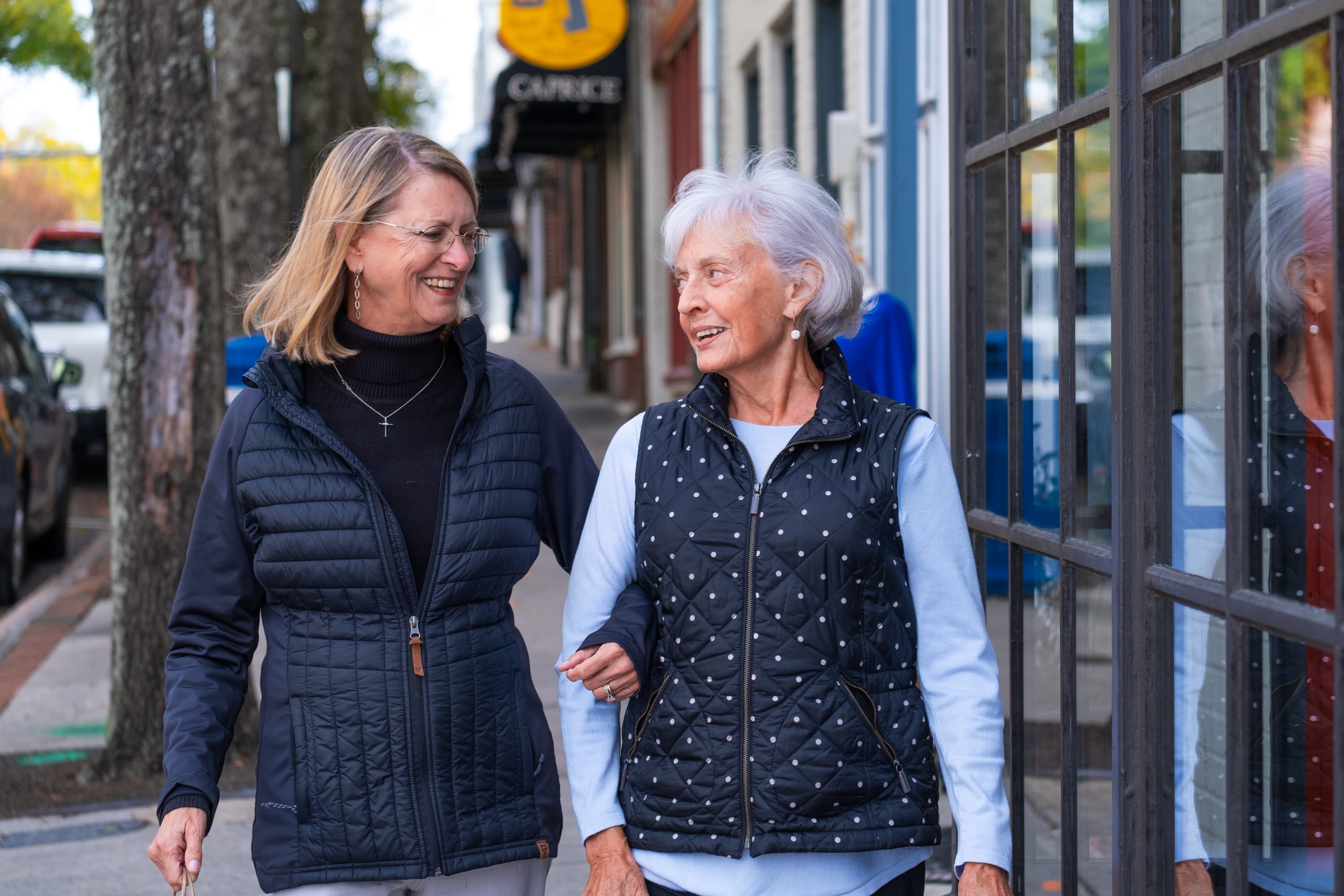 Seniors Helping Seniors® Fremont