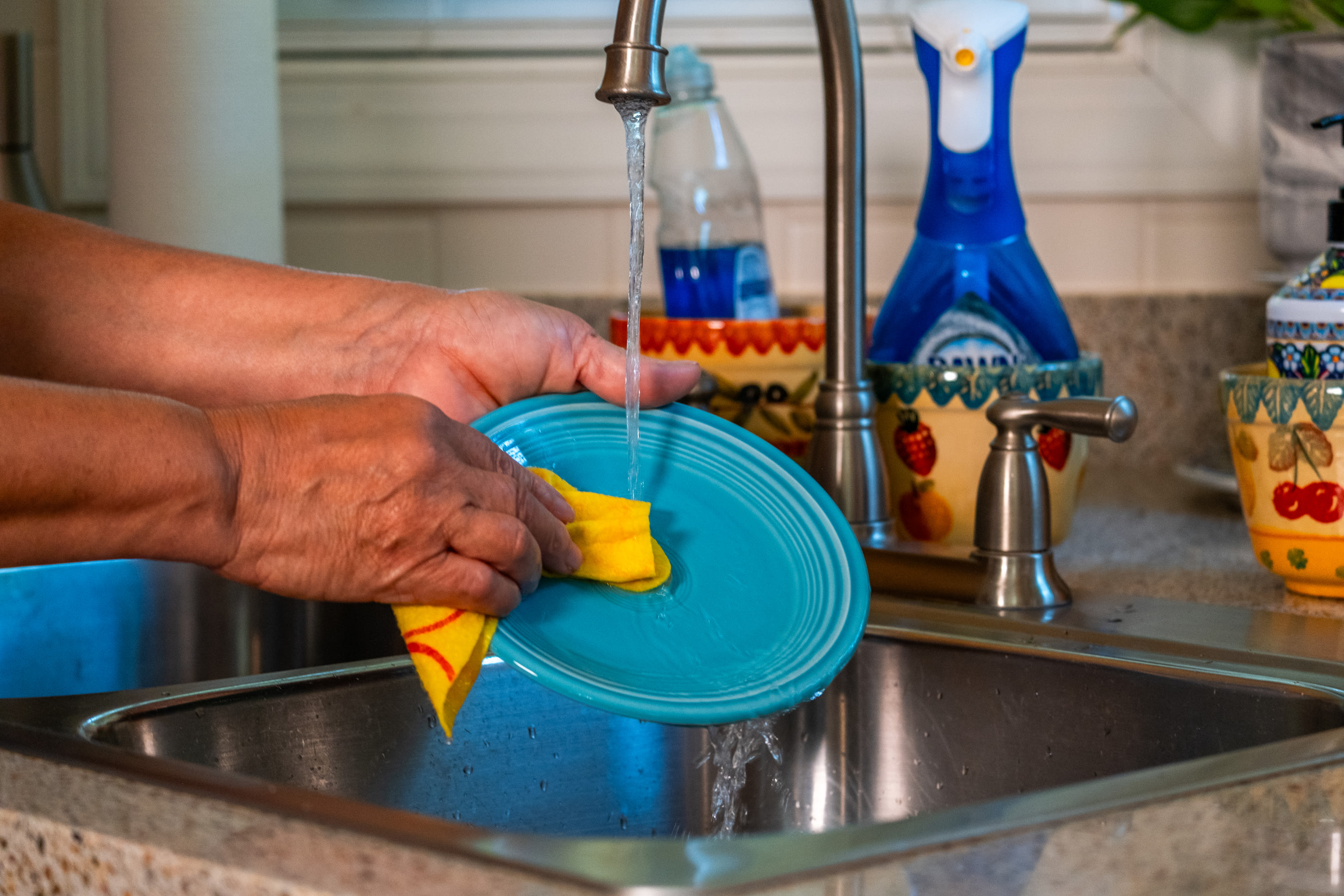 Seniors Helping Seniors® Fremont