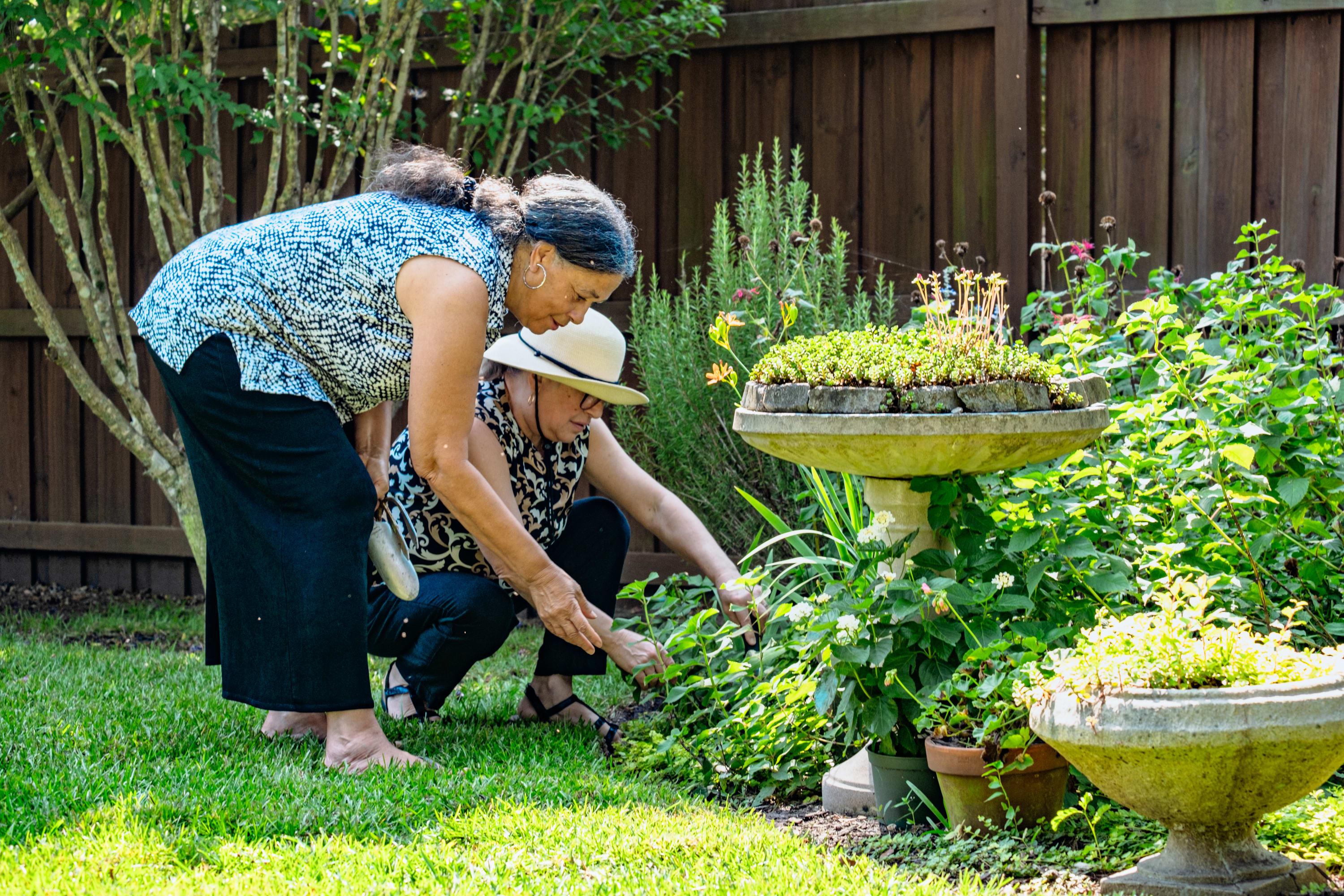 Seniors Helping Seniors® Fremont
