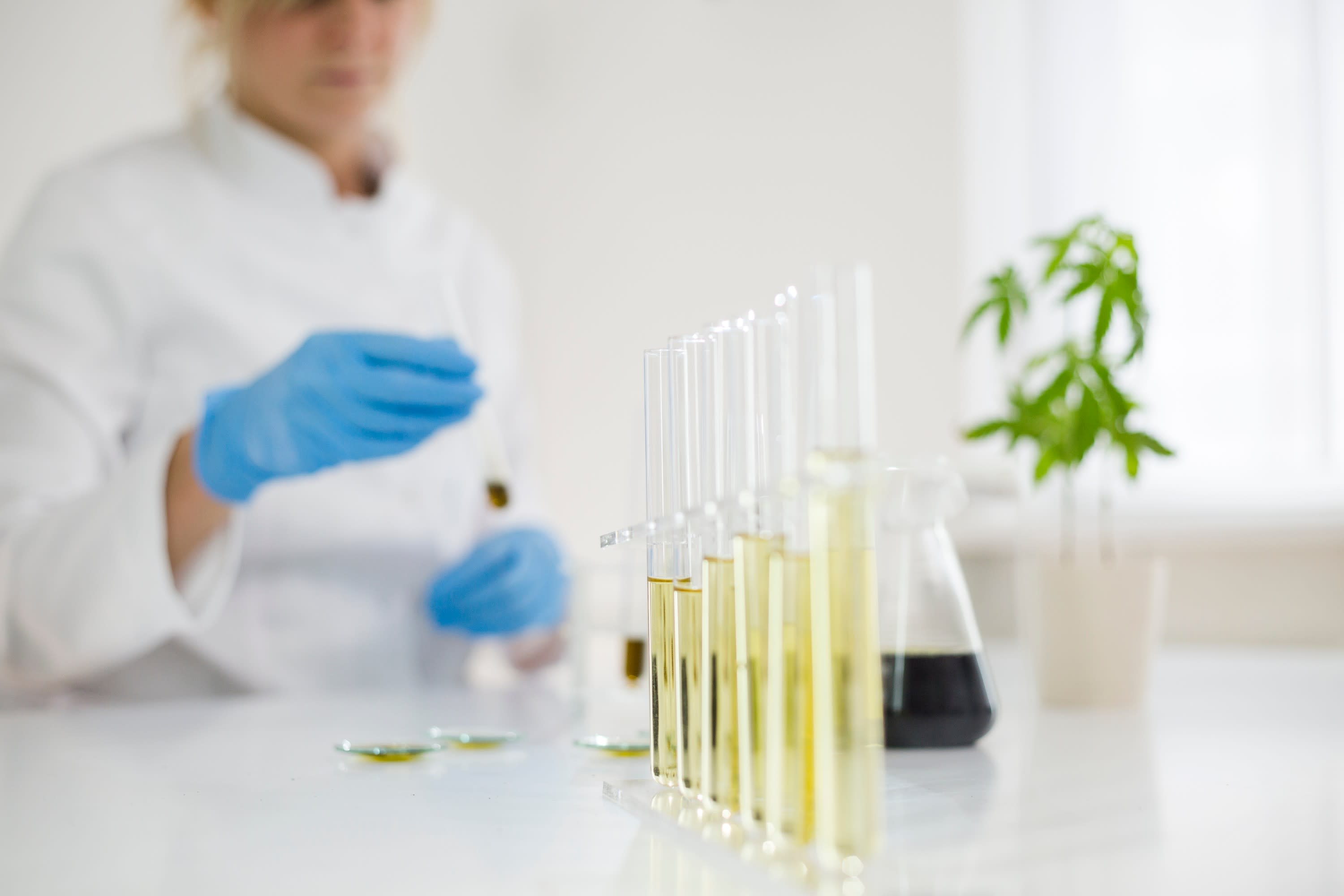 Cannabis Testing Lab