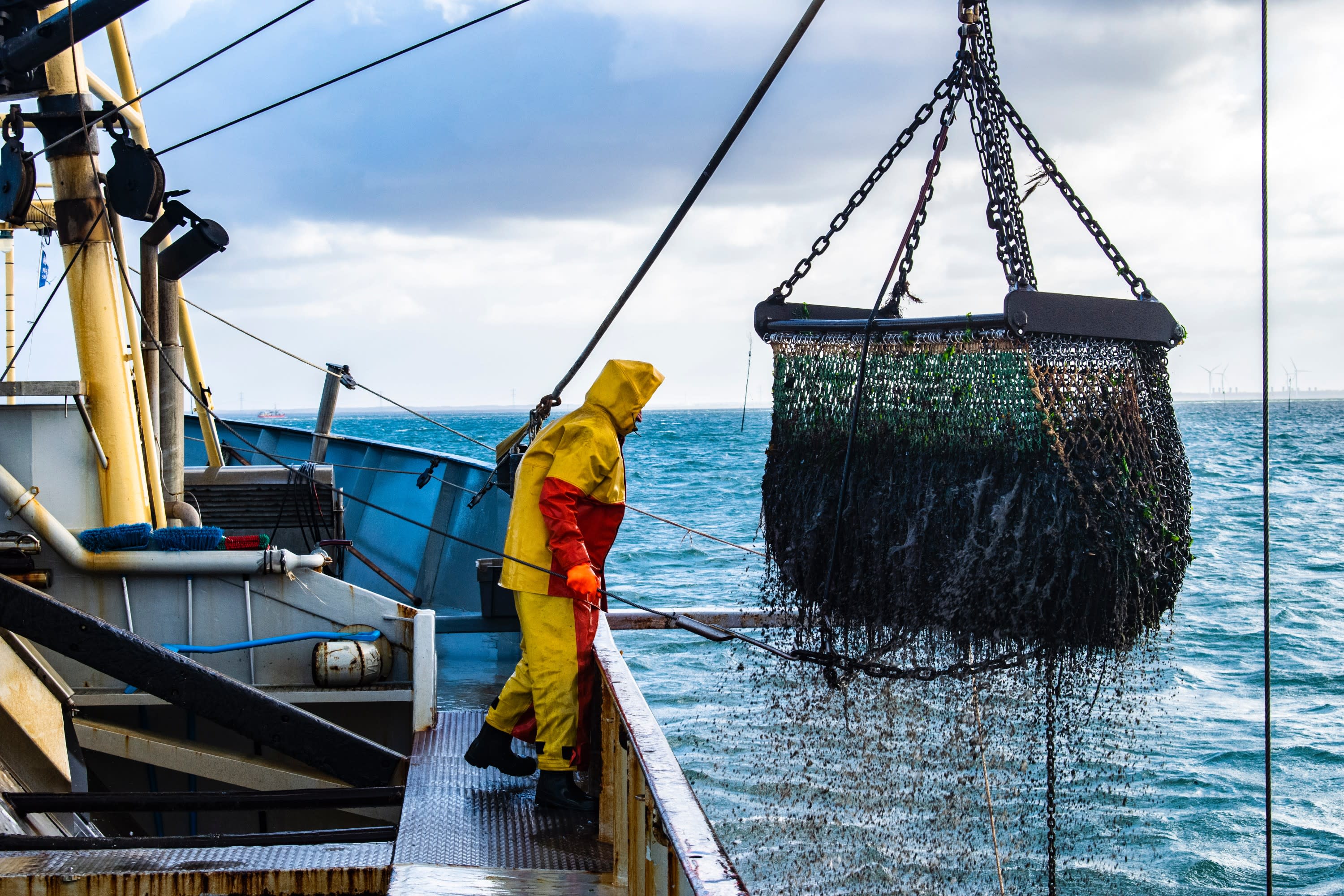 Victoria Wants to Lead the Blue Economy — Can a New Accelerator Help Do So?  - Victoria Innovation, Advanced Technology & Entrepreneurship Council