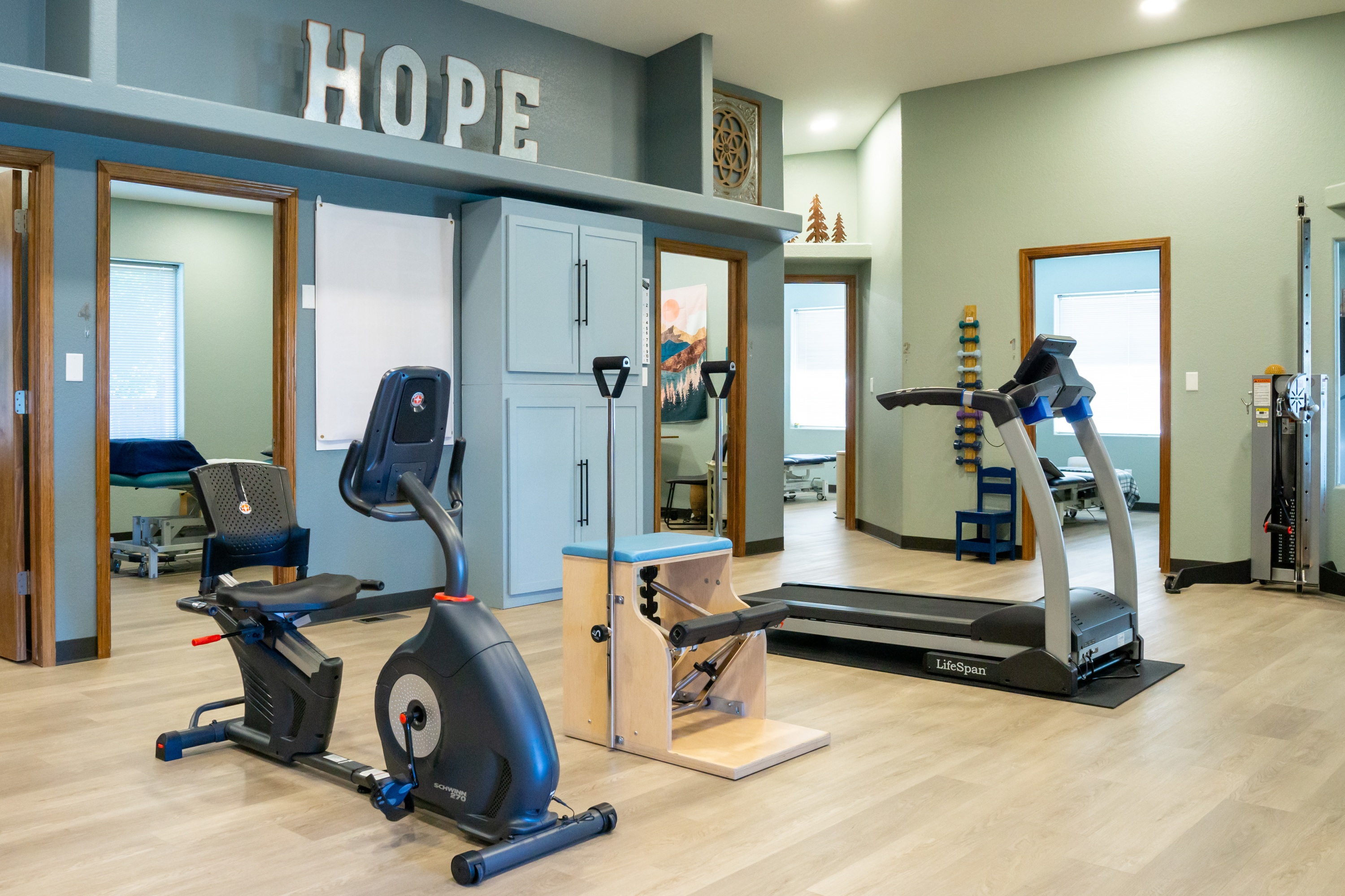 physical therapy; wellness; hope