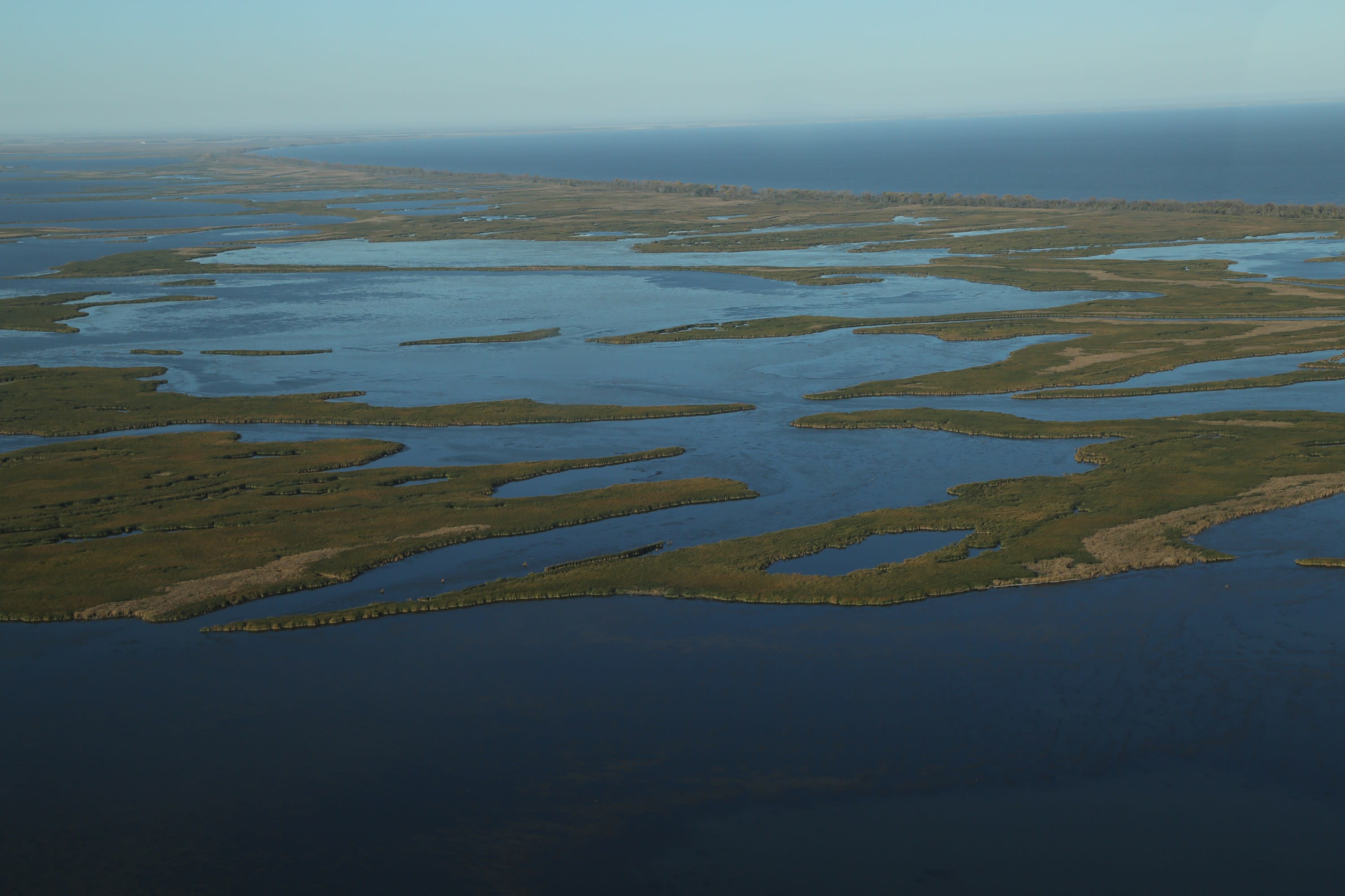 Aerial image of a mix of wetland vegetation and open water along the coastline