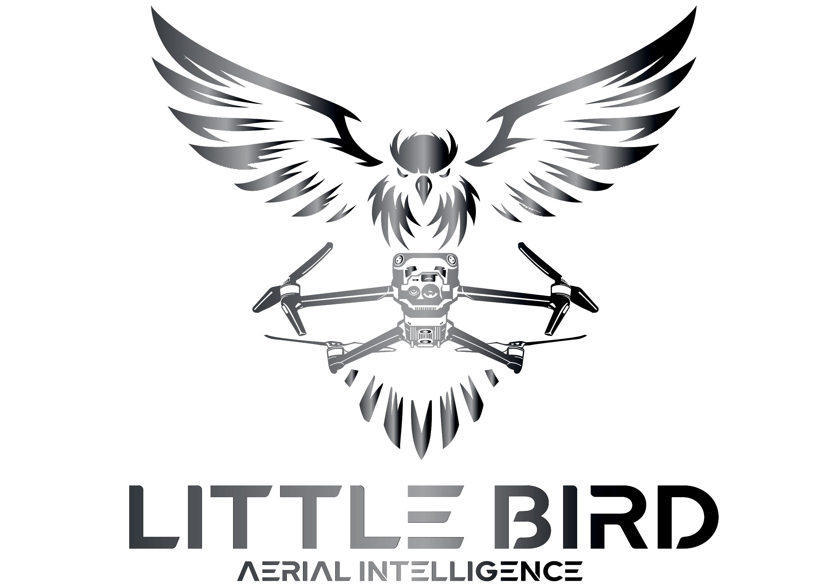 Drone Company Logo