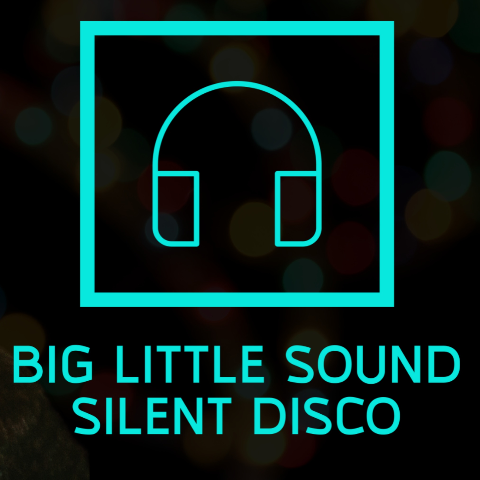 Big Little Sound