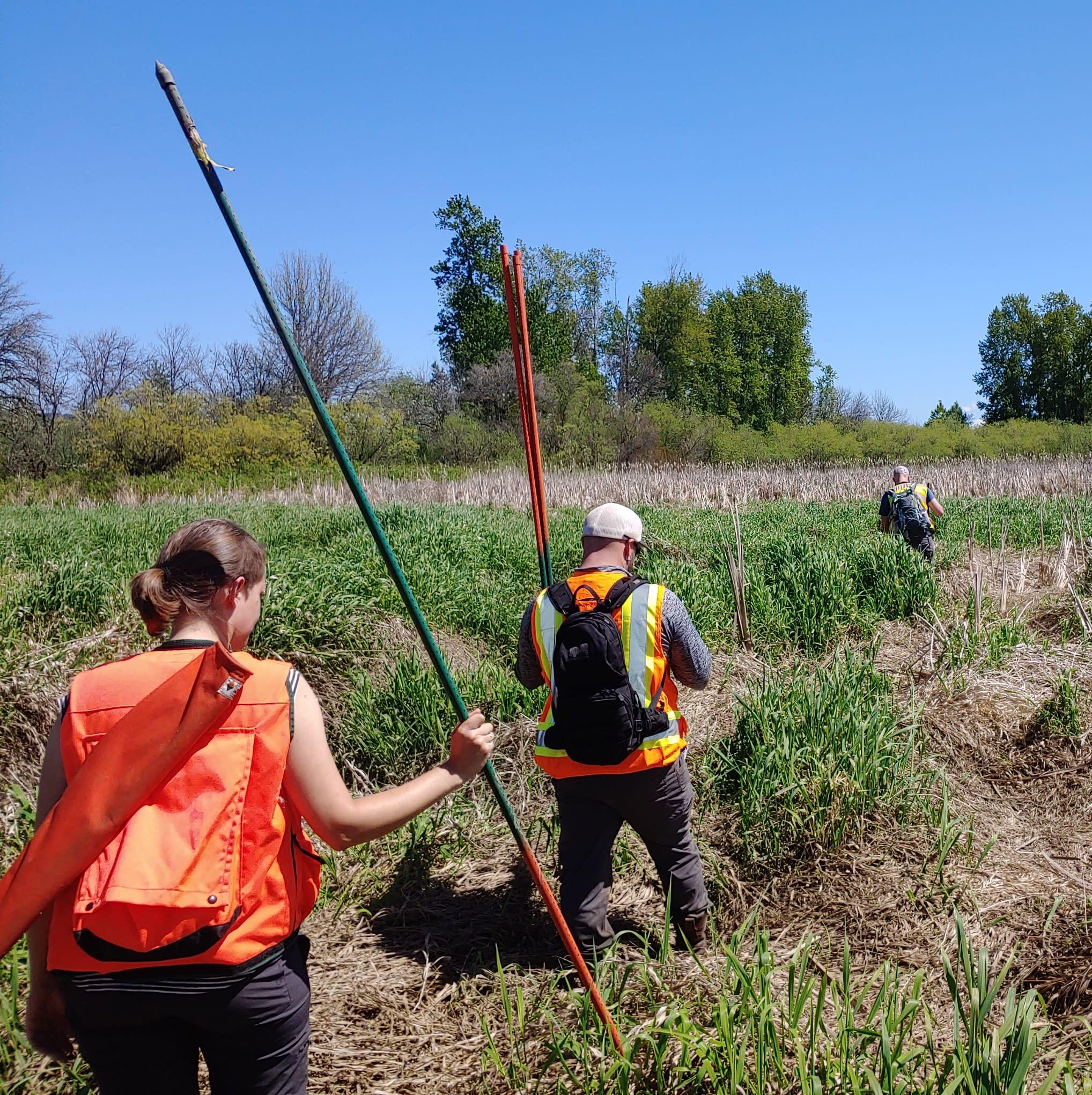 Field Work