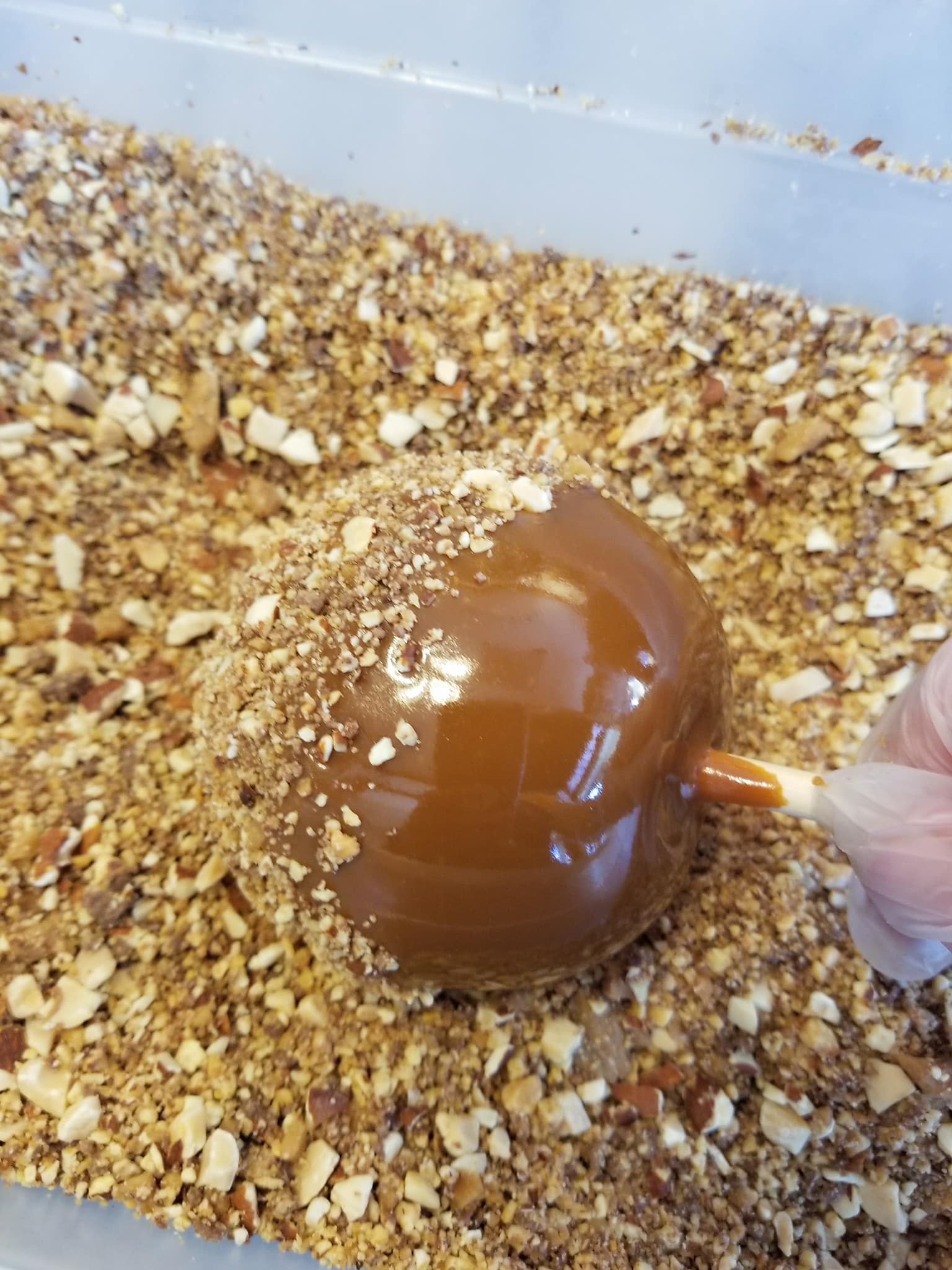 Caramel Apple