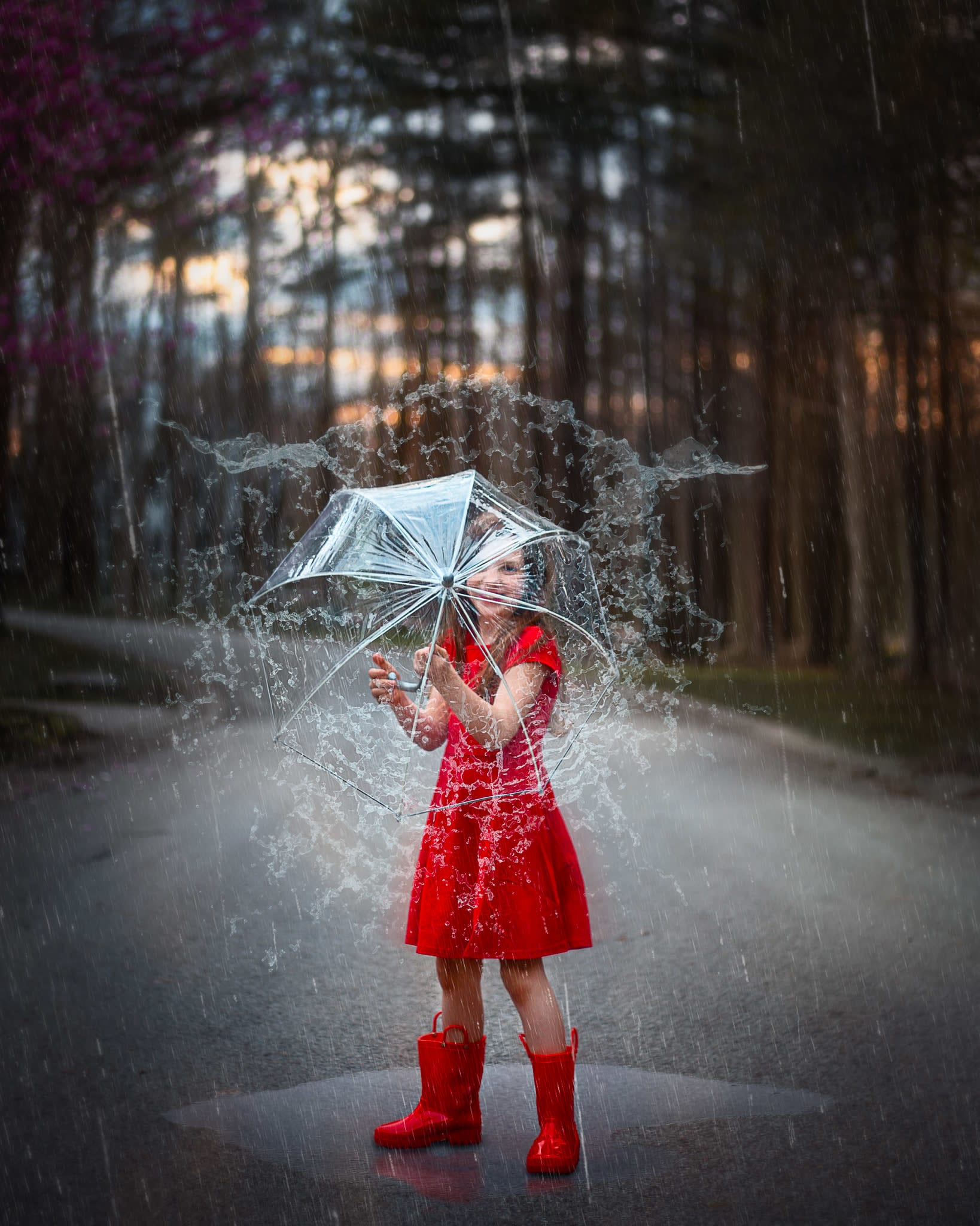 Heather Bienz Photography Fort Wayne, IN