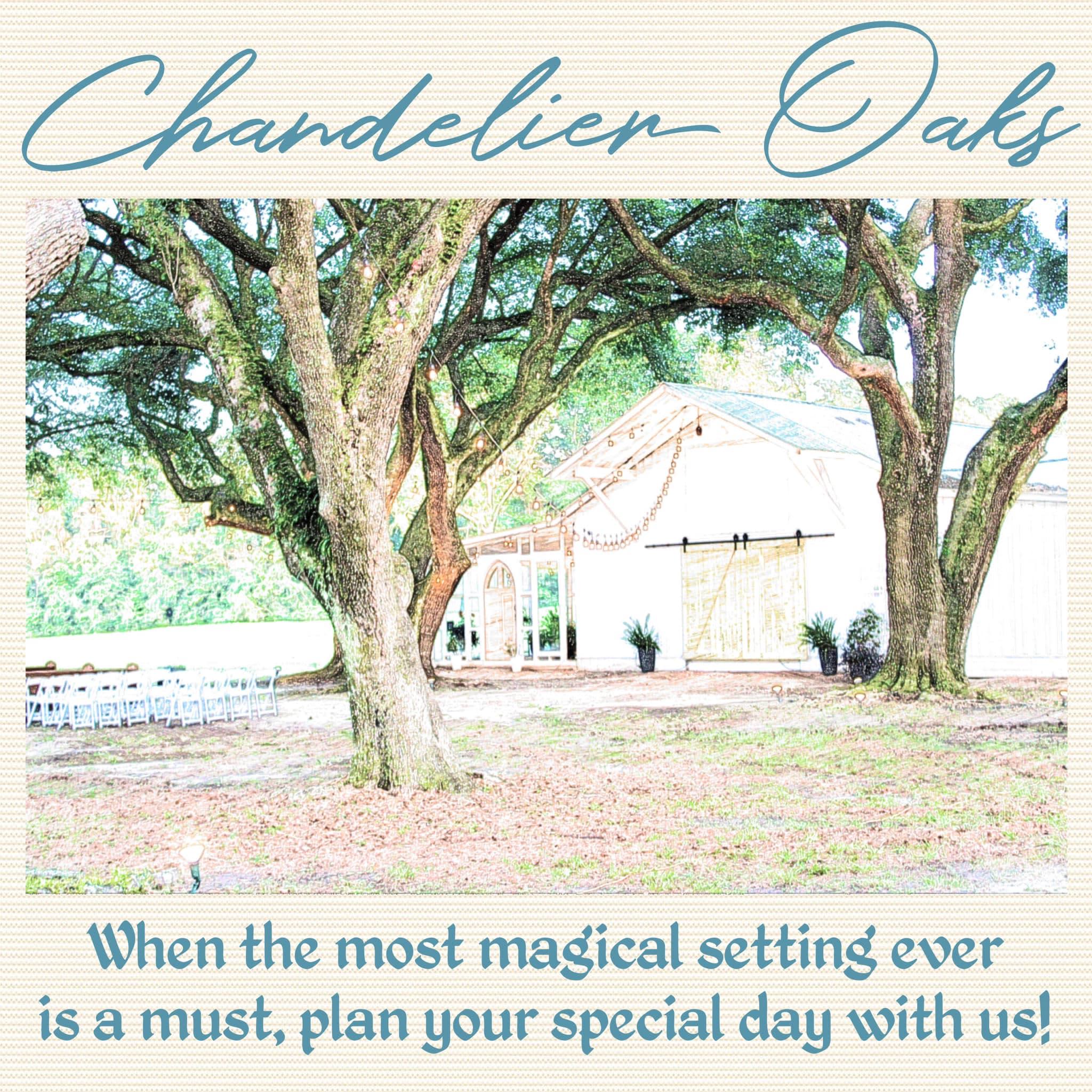 Two oak trees, a building behind the oaks, with chairs outside