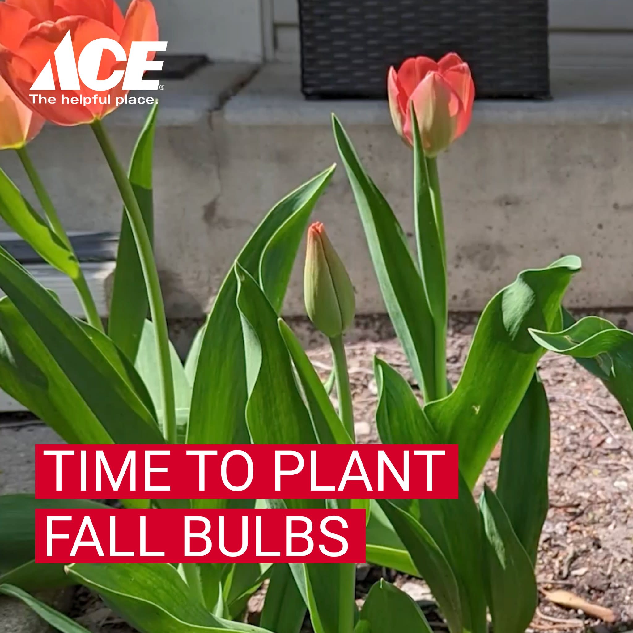 Mendo Mill & Lumber Co. - Willits