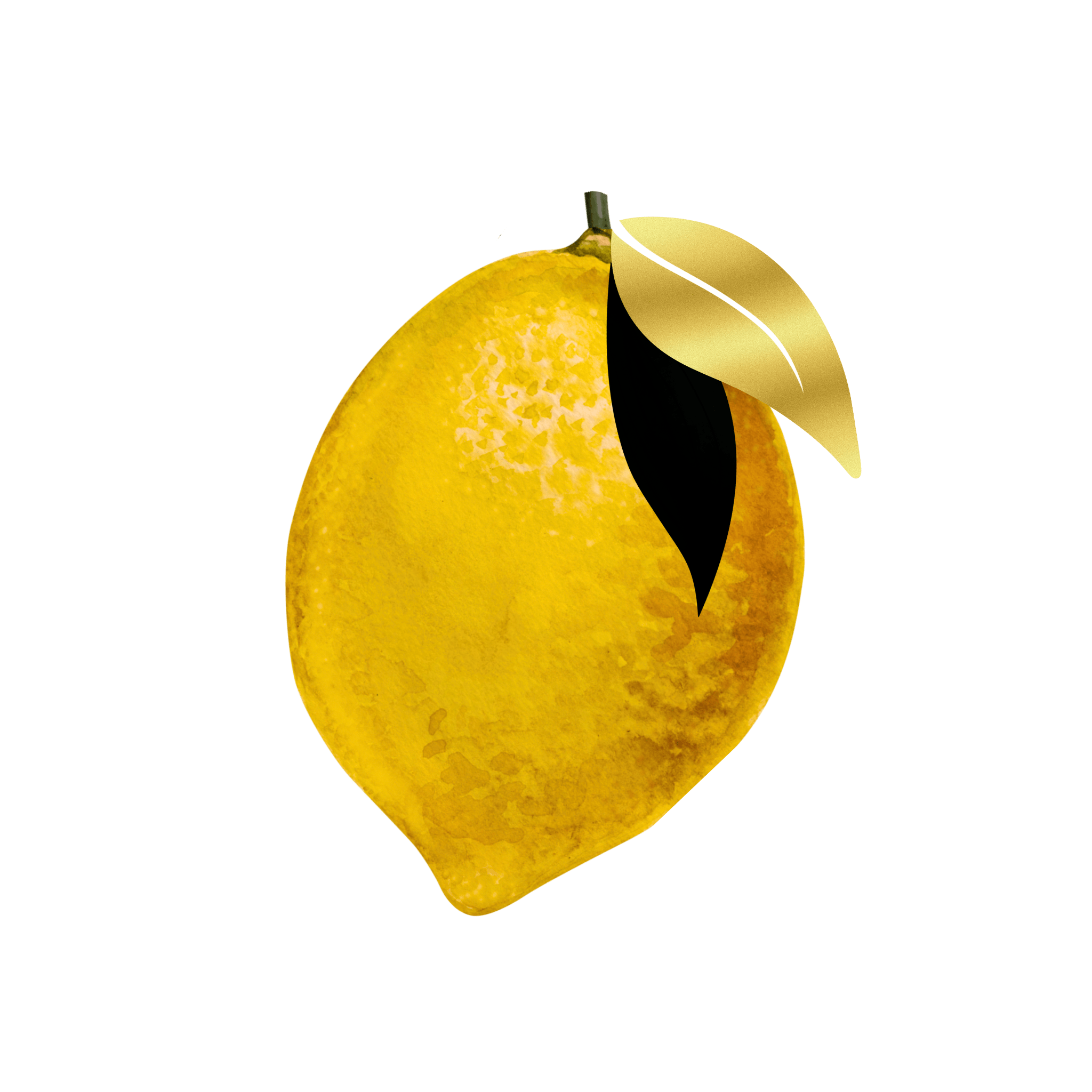Little Lemon Shots photo booth
