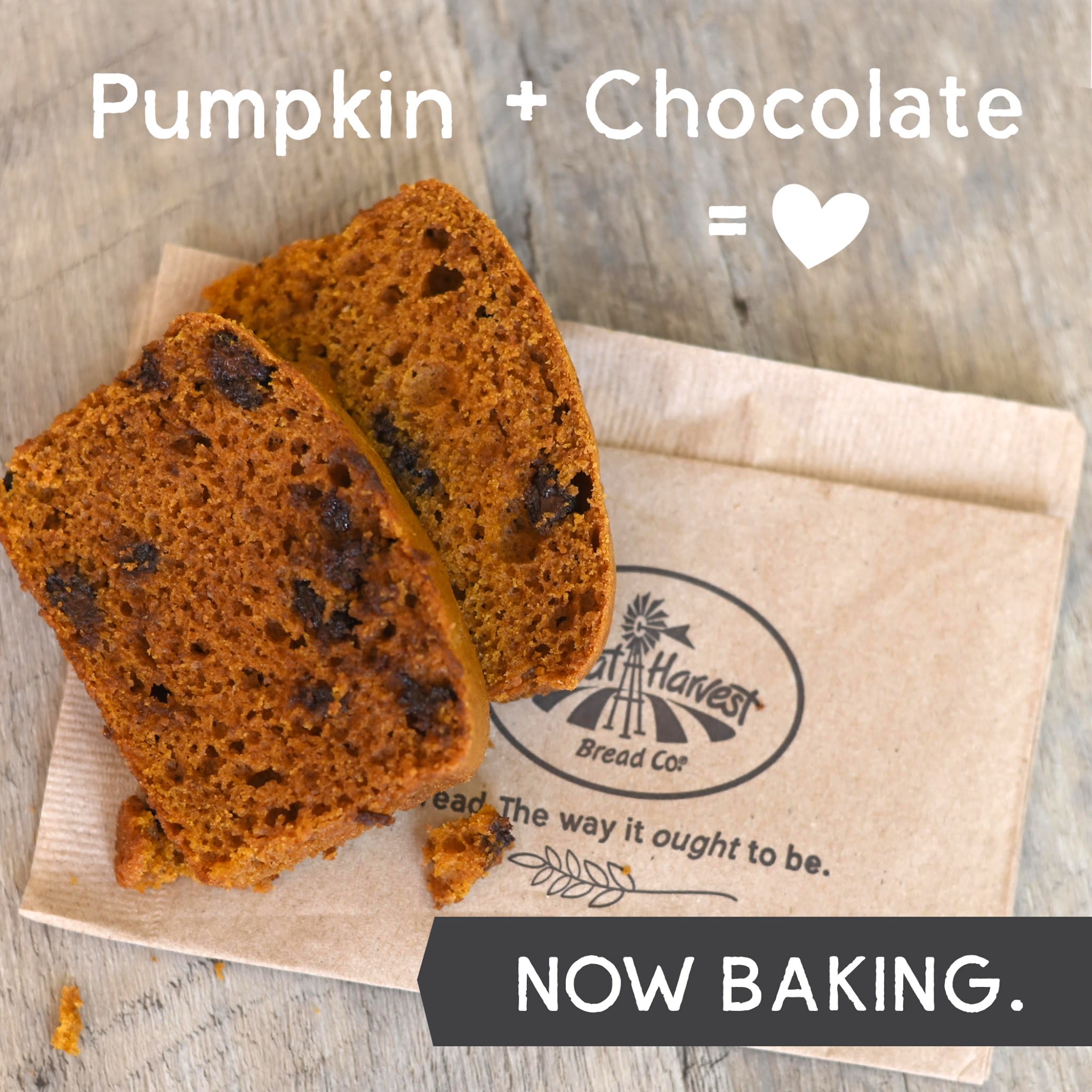 Pumpkin Chocolate Chip Bread