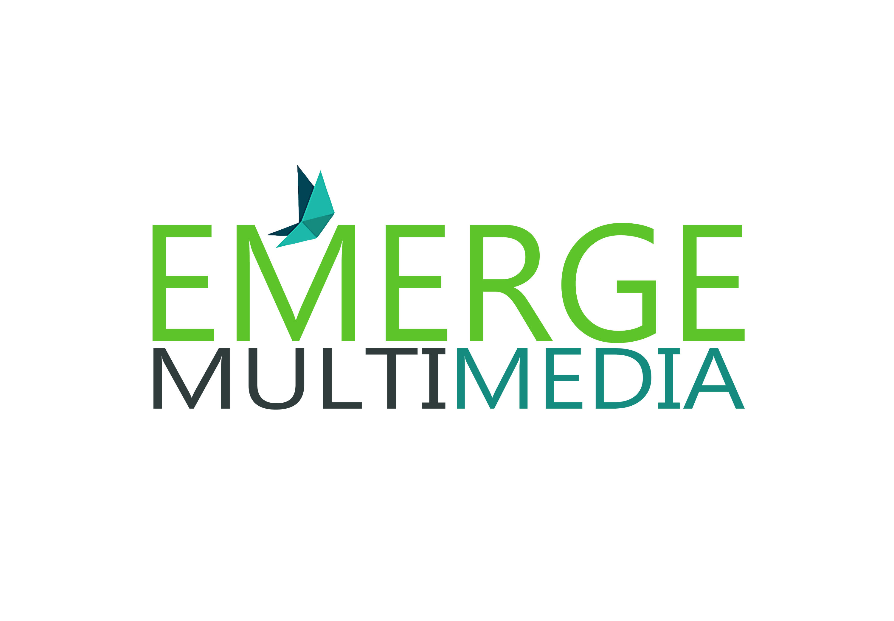Emerge Multimedia LLC