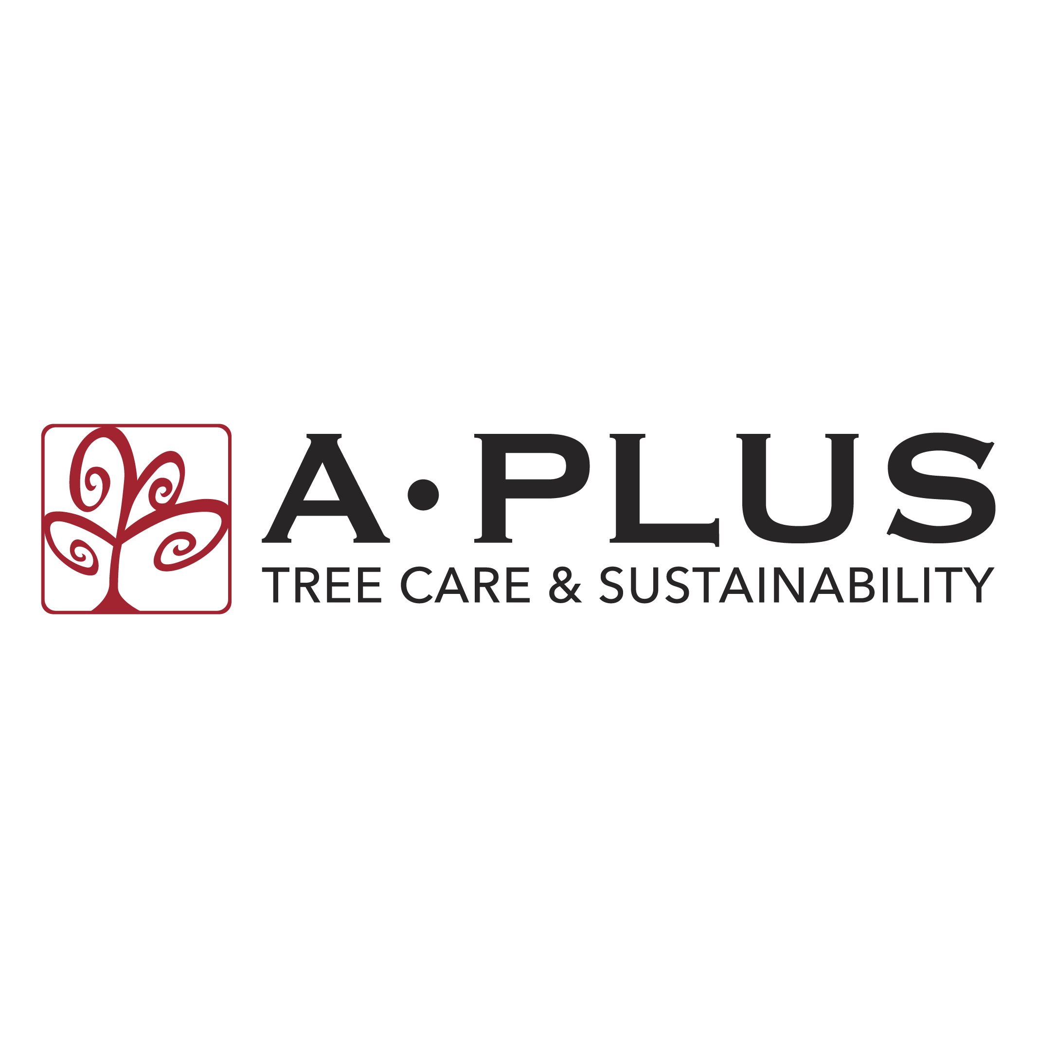 A Plus Tree