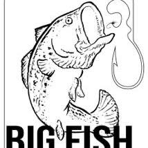 Big Fish Construction-Willits