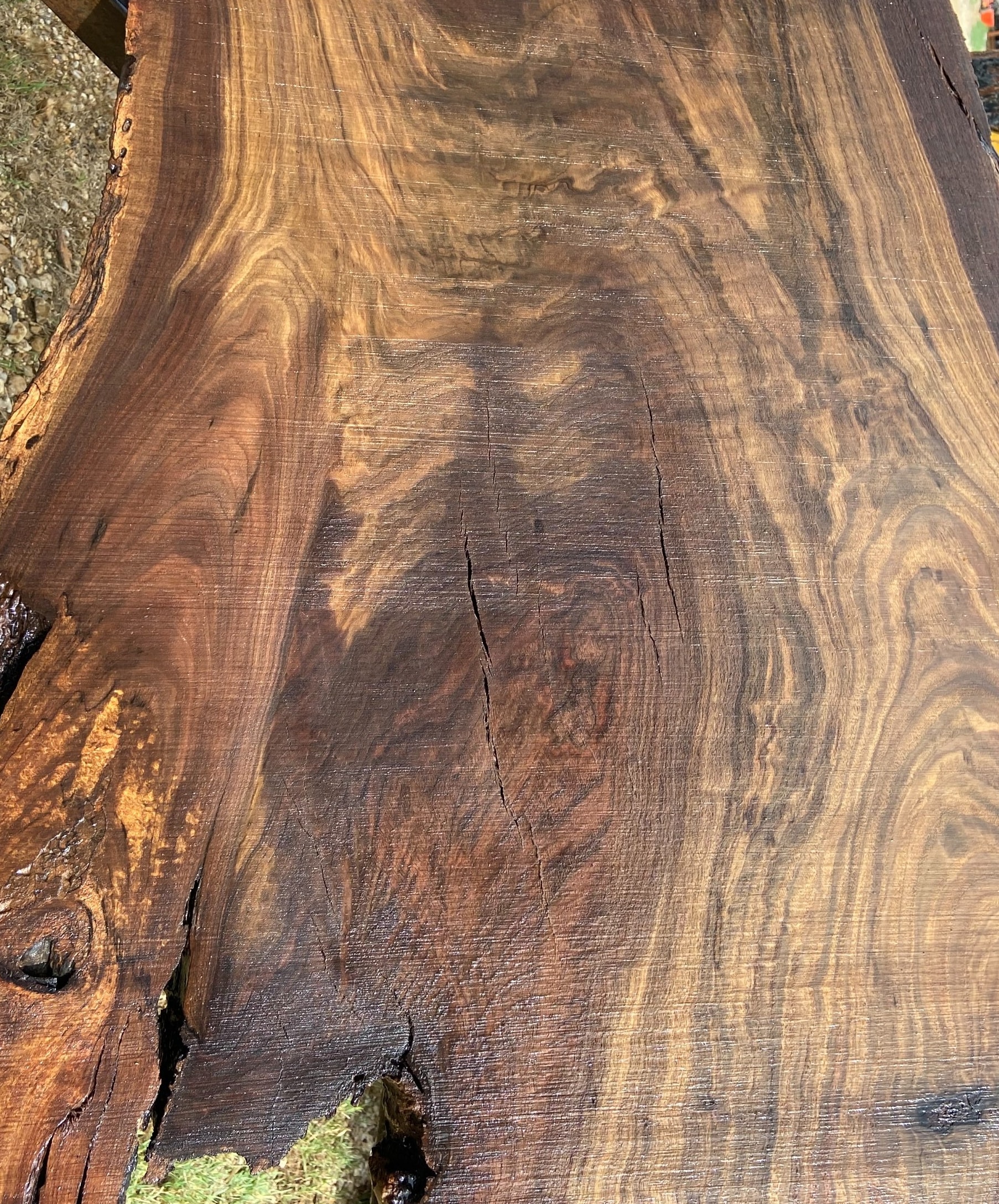 Black Walnut Slab