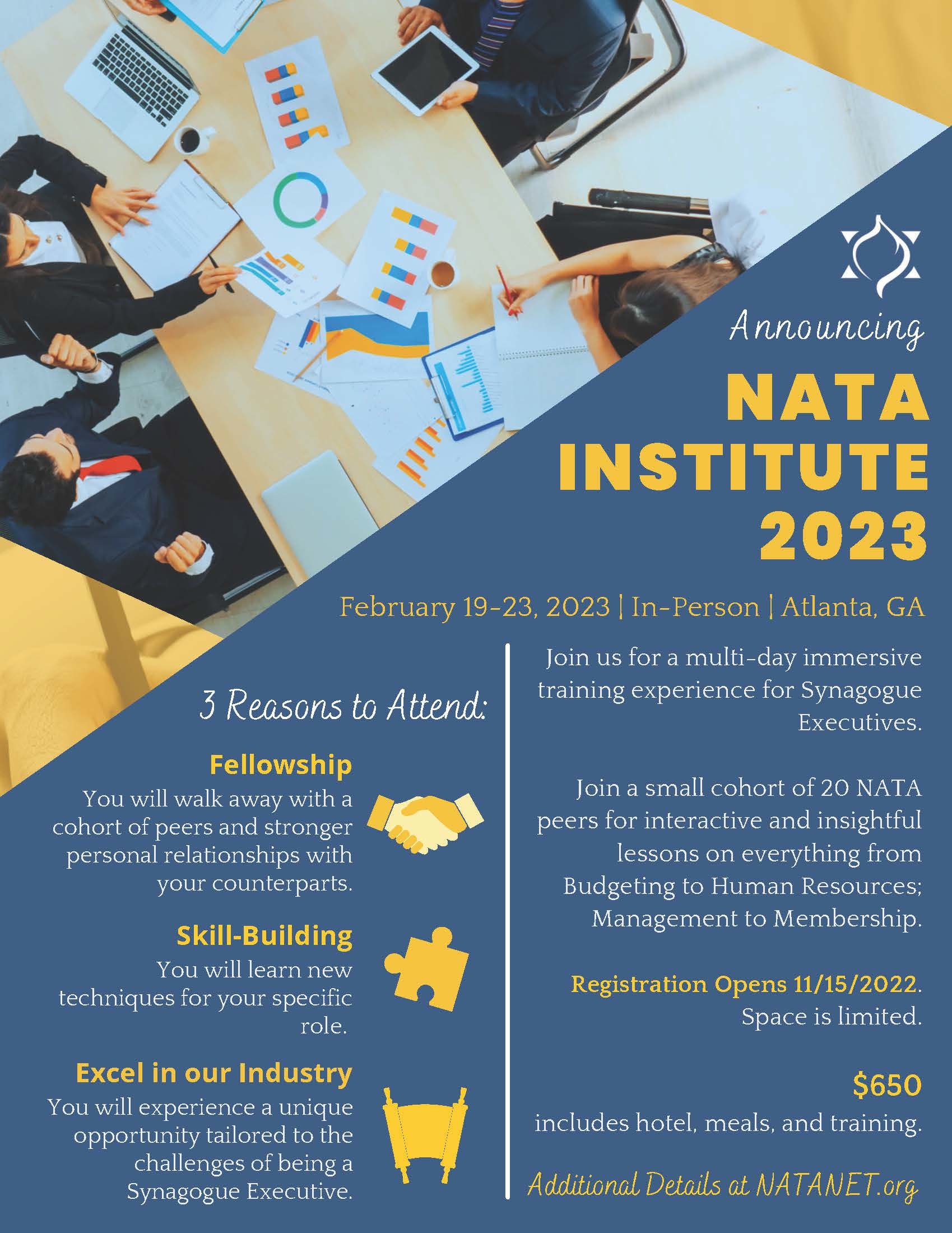 NATA Institute Flyer