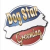 Dog Star Grooming-Willits