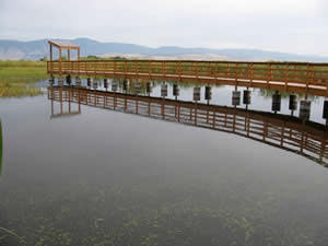 Ladd Marsh Observation Pier