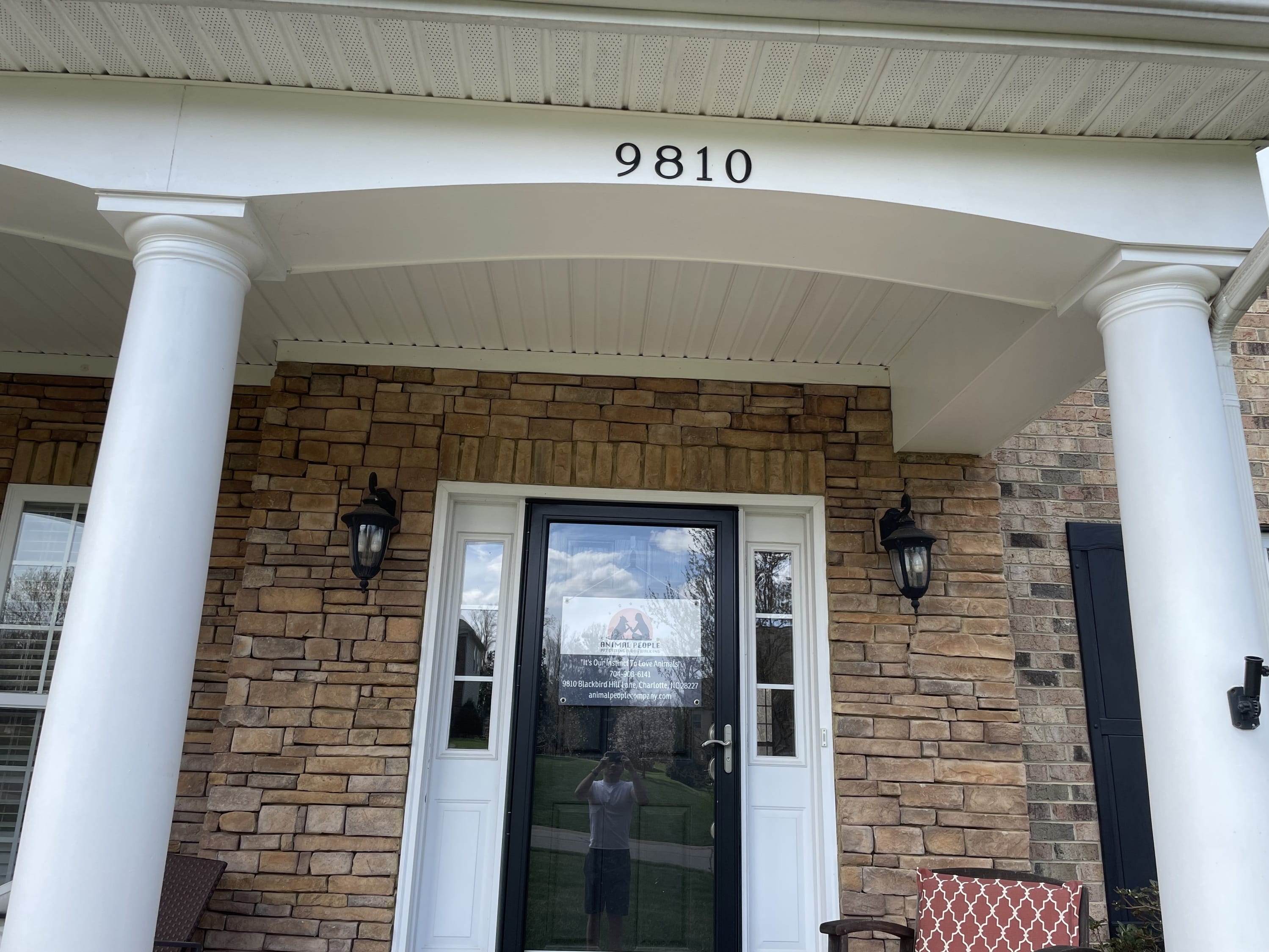 Top Dog Boarding Facilities Near You for Long Summer Vacations