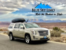 blue sky limo reviews