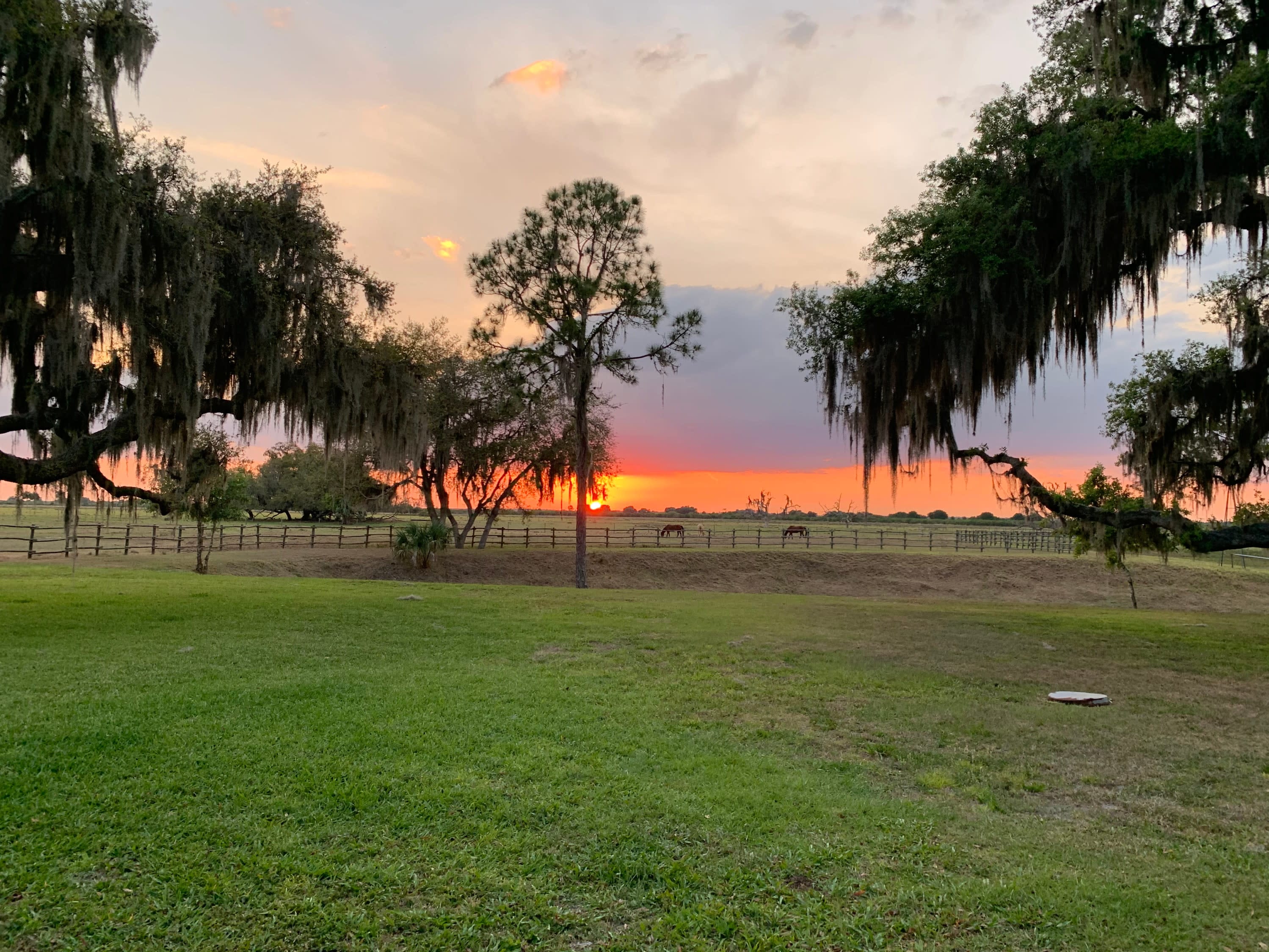 Sunset at Dark Hammock