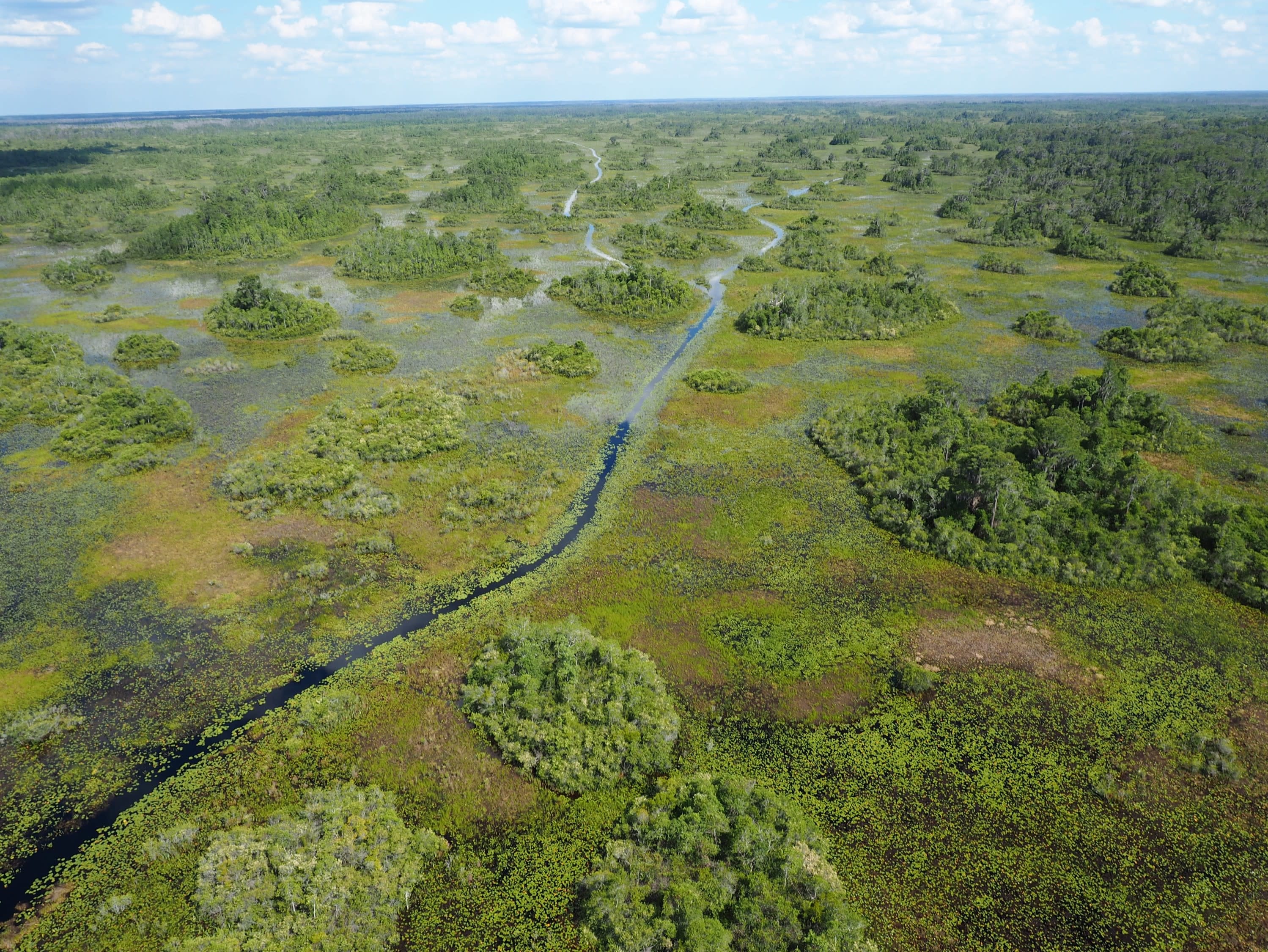 Aerial photo of Okefenokee Swamp